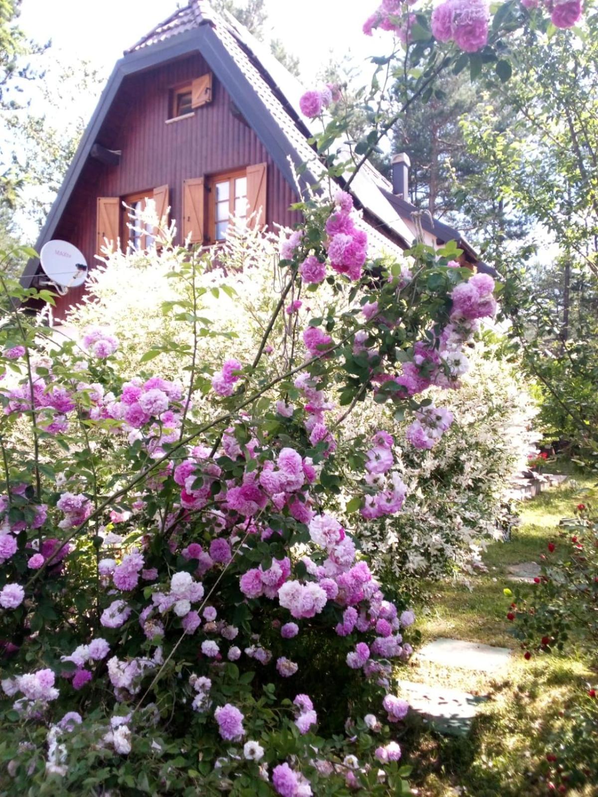 Photo 39