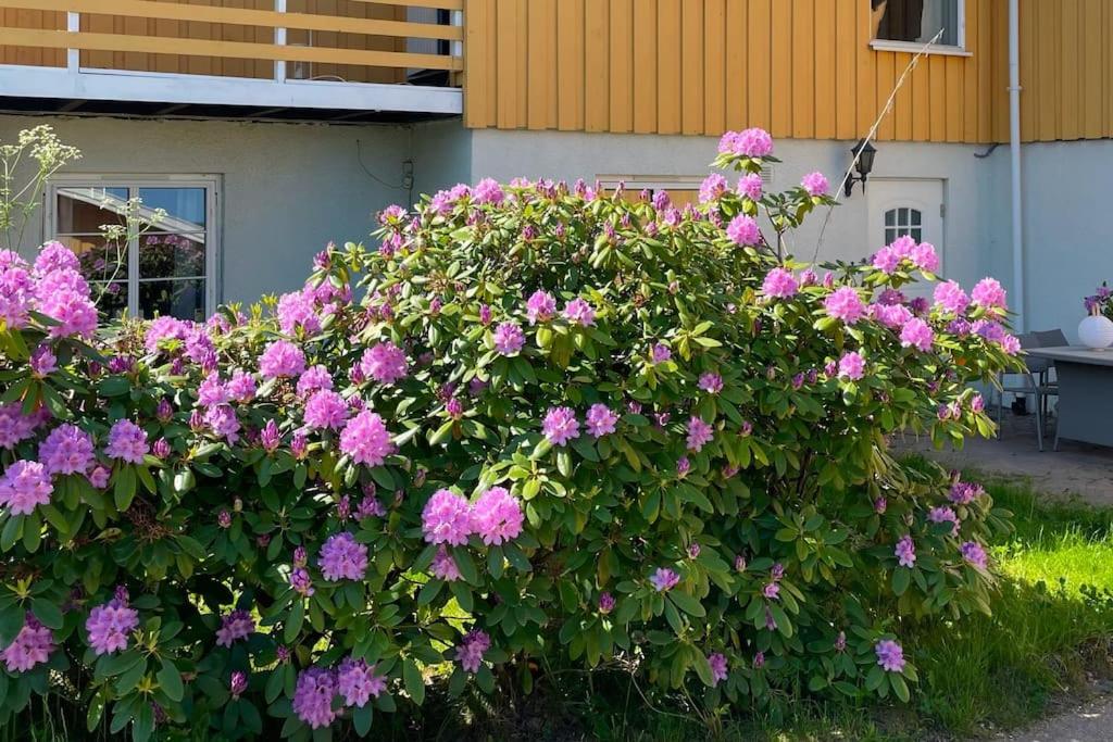 Cosy and well-equipped apartment with free parking view 4