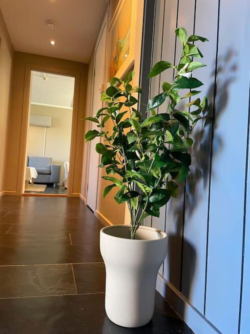 Cosy and well-equipped apartment with free parking view 2