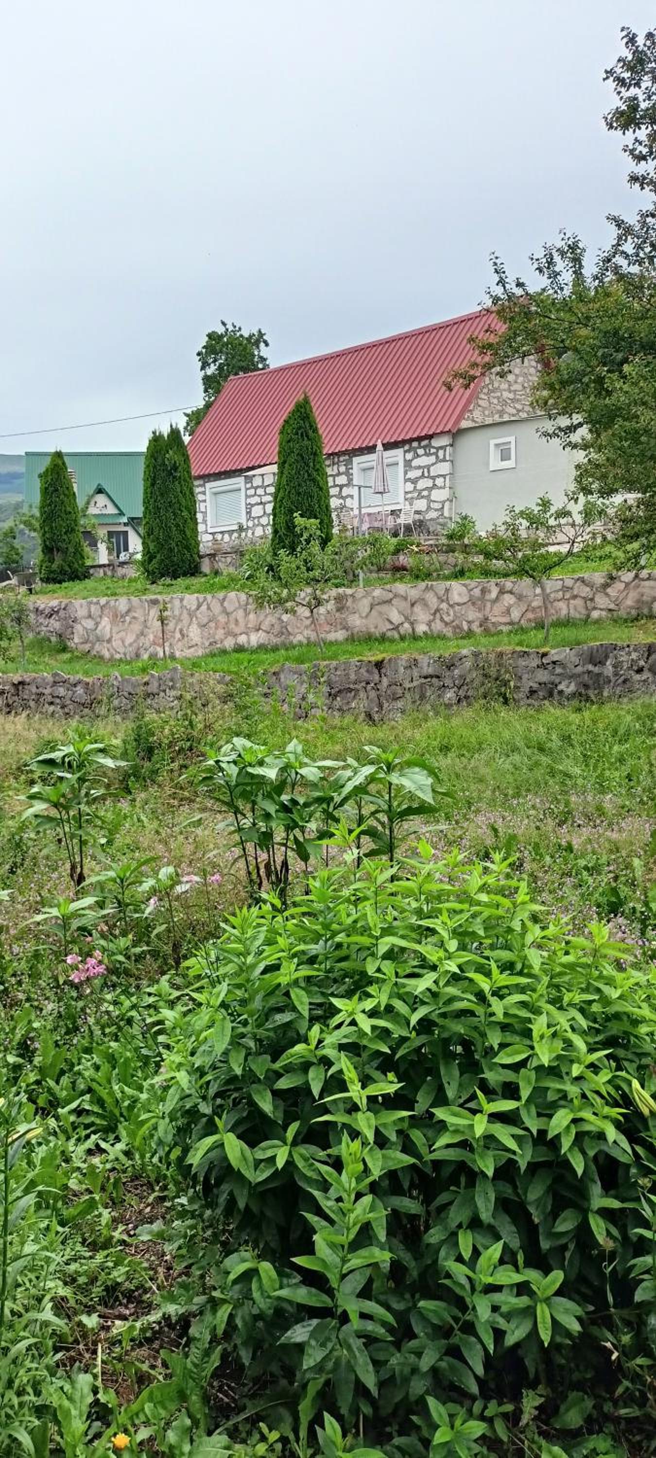 Odmaralište Petnjica view 2