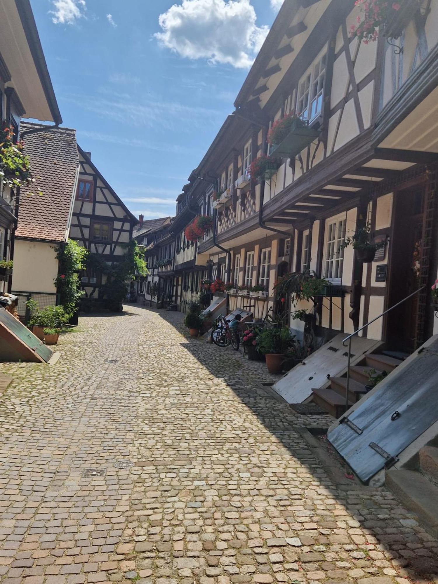 Ferienwohnung Blumenfeld