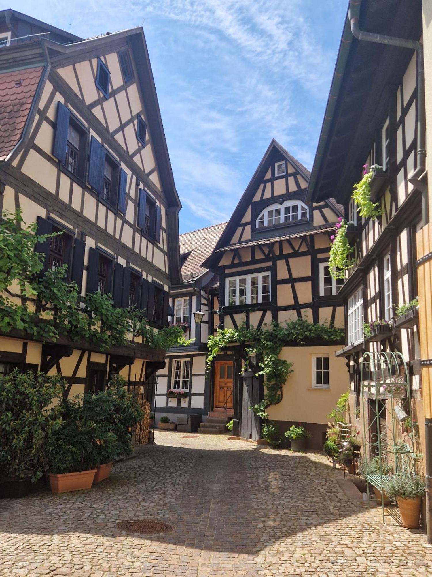 Ferienwohnung Blumenfeld