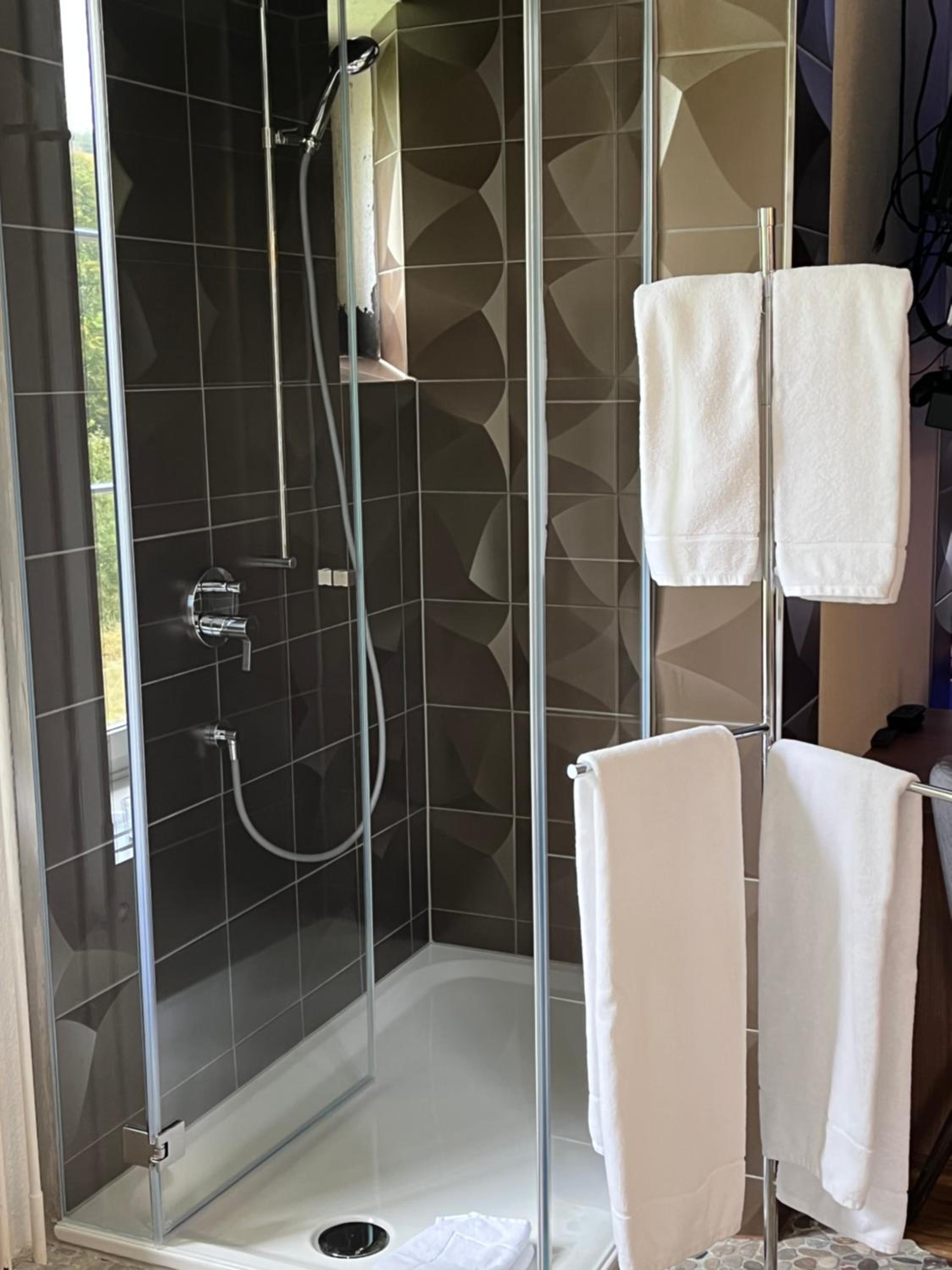 Hotel Krone Sihlbrugg