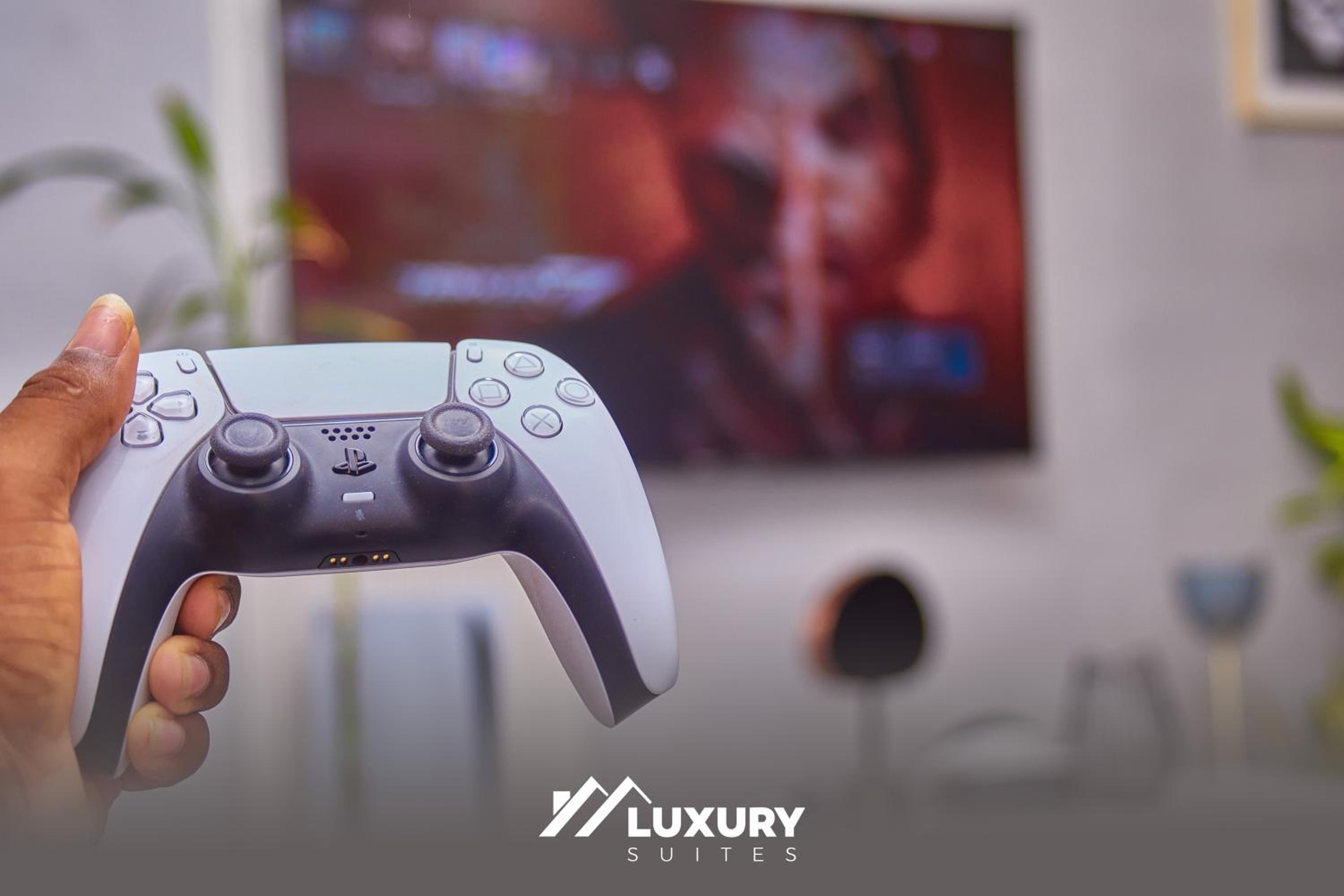 Luxury Suites