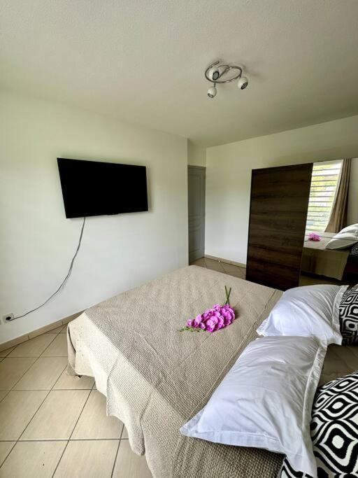 Appartement SiSi
