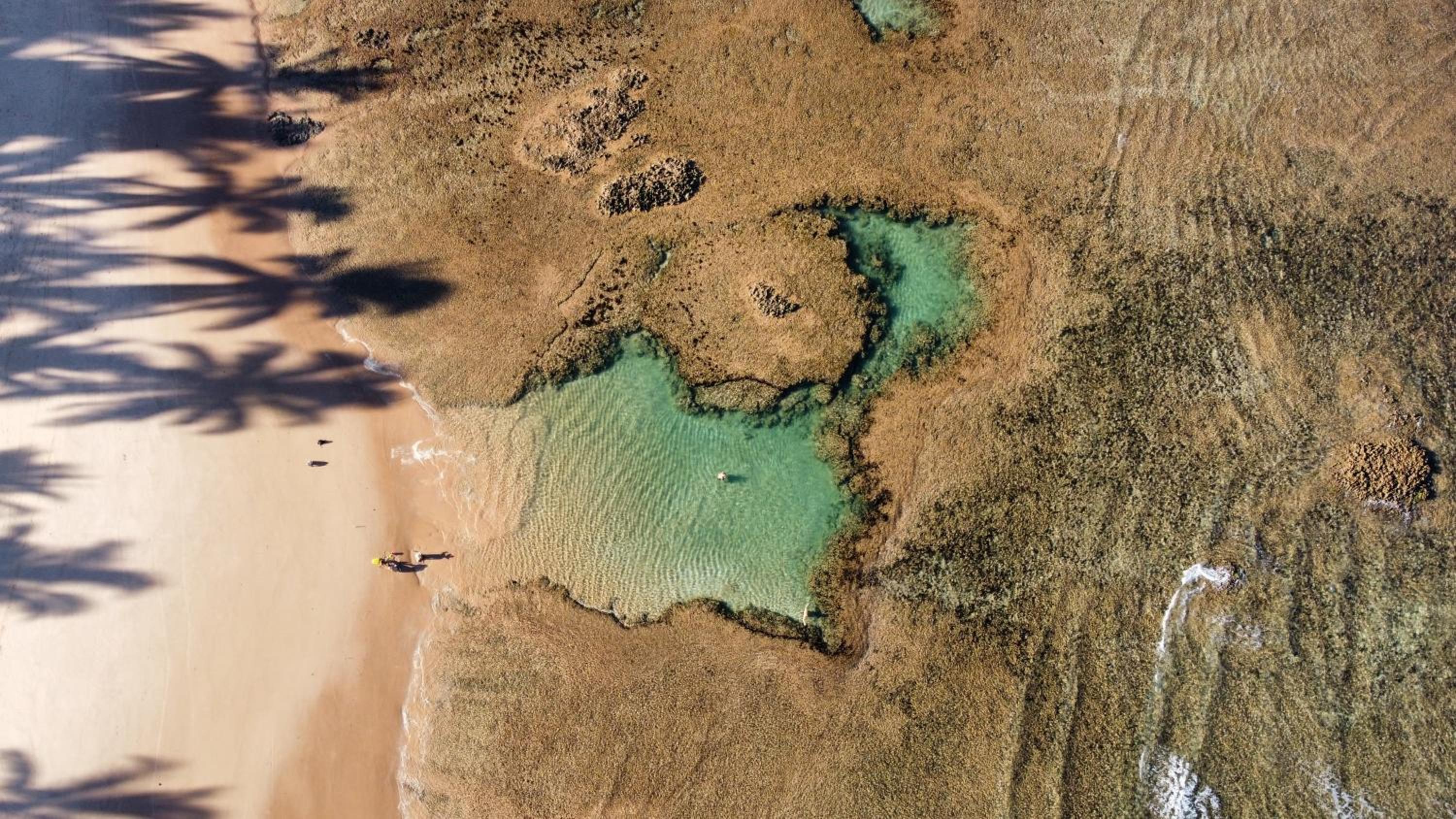 Barra Grande Bangalôs
