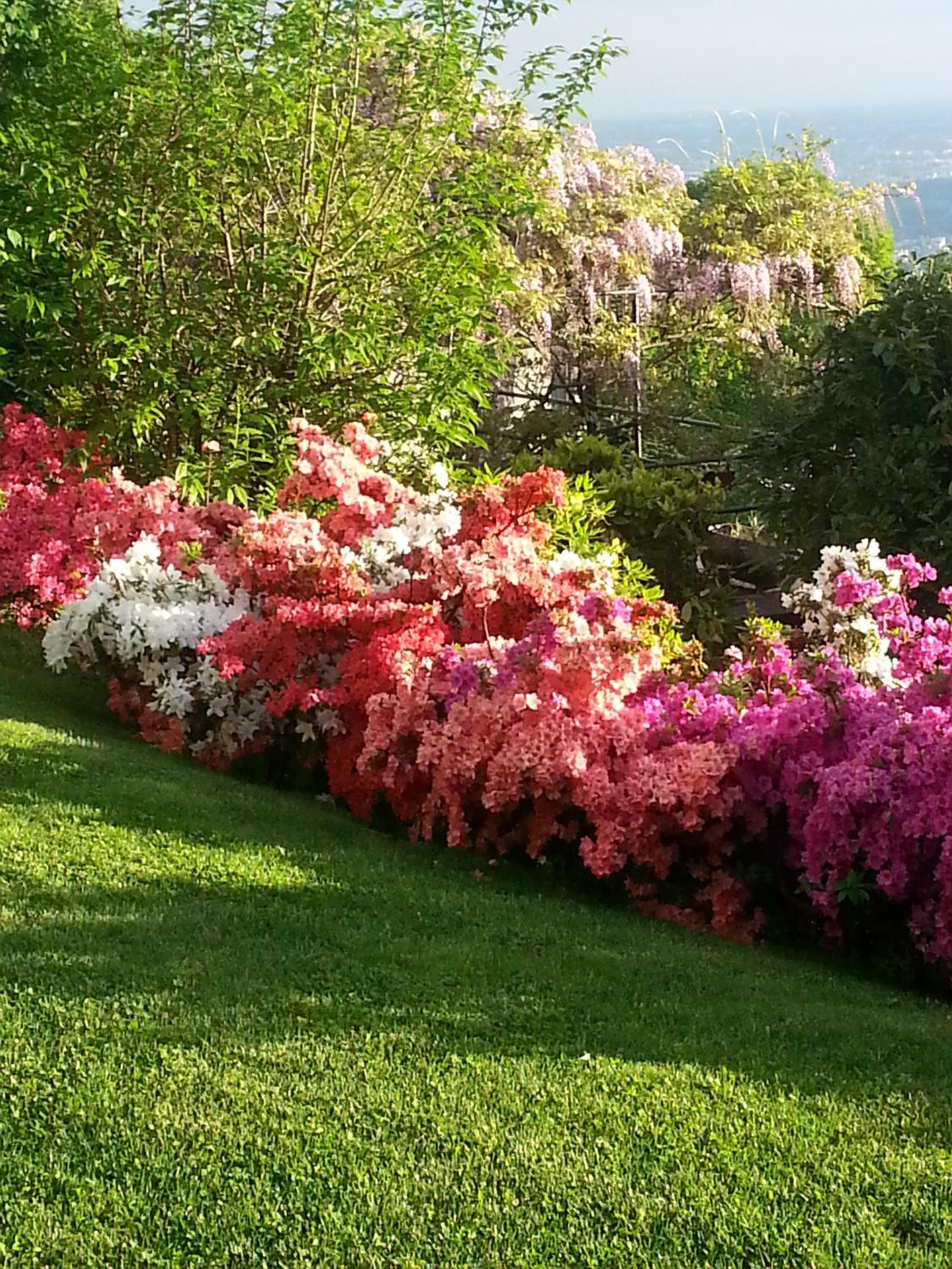 Casa Vacanze Le Violette view 4