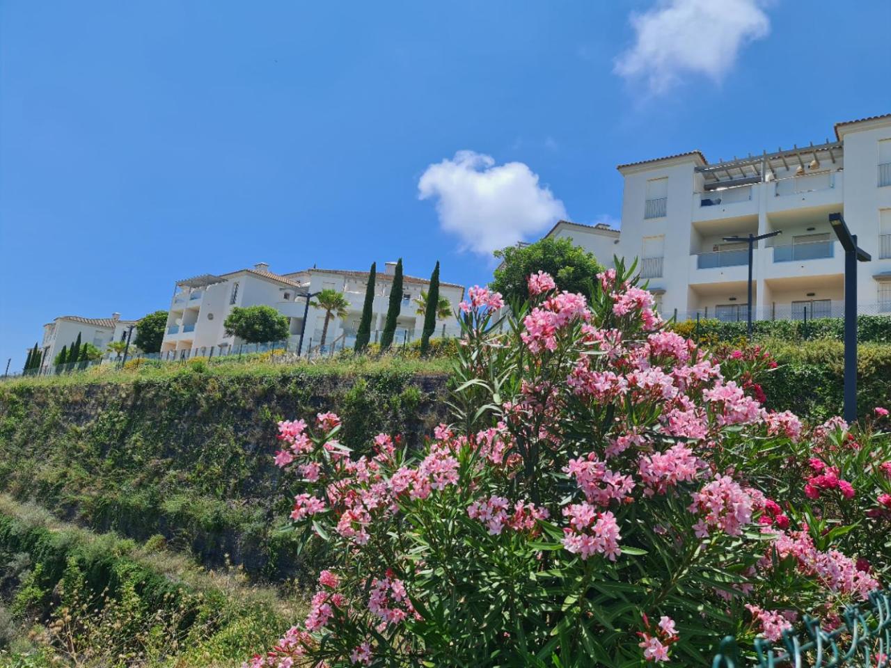 Seaside Serenity - Stylish Apartment with Spectacular Views