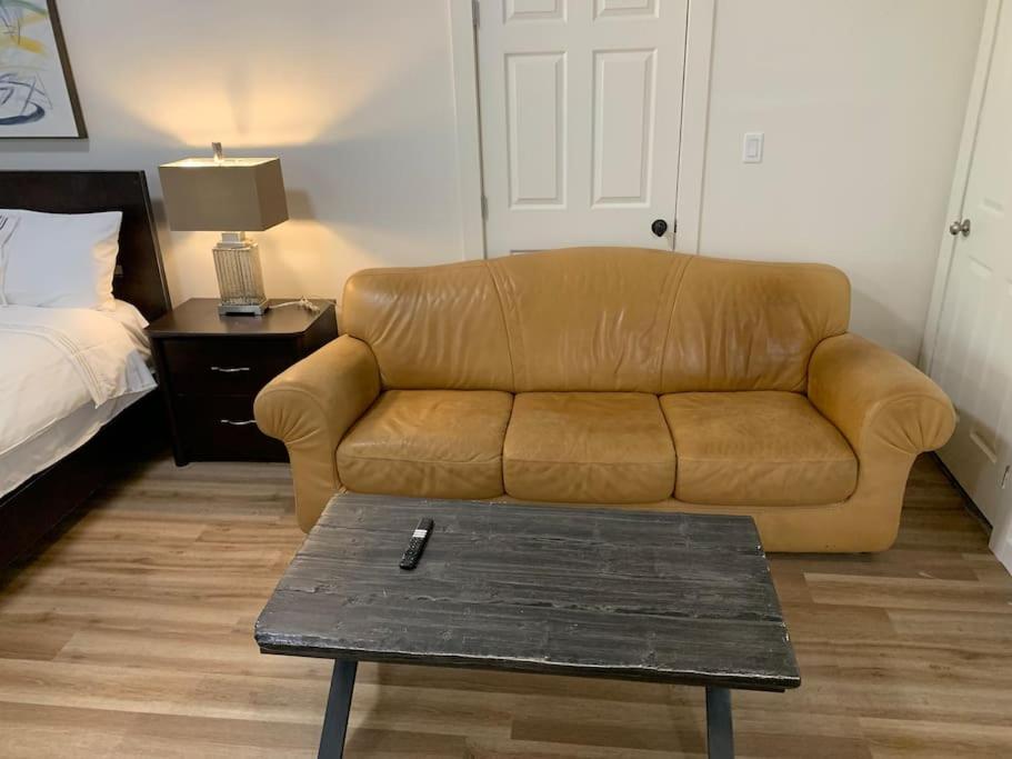 Country studio pet friendly