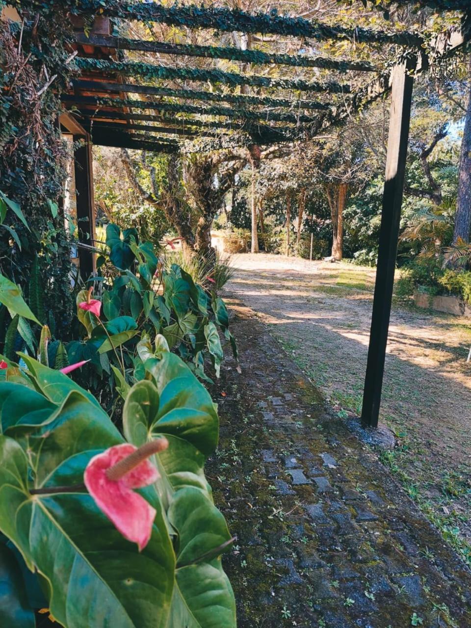 La Remonta Residence