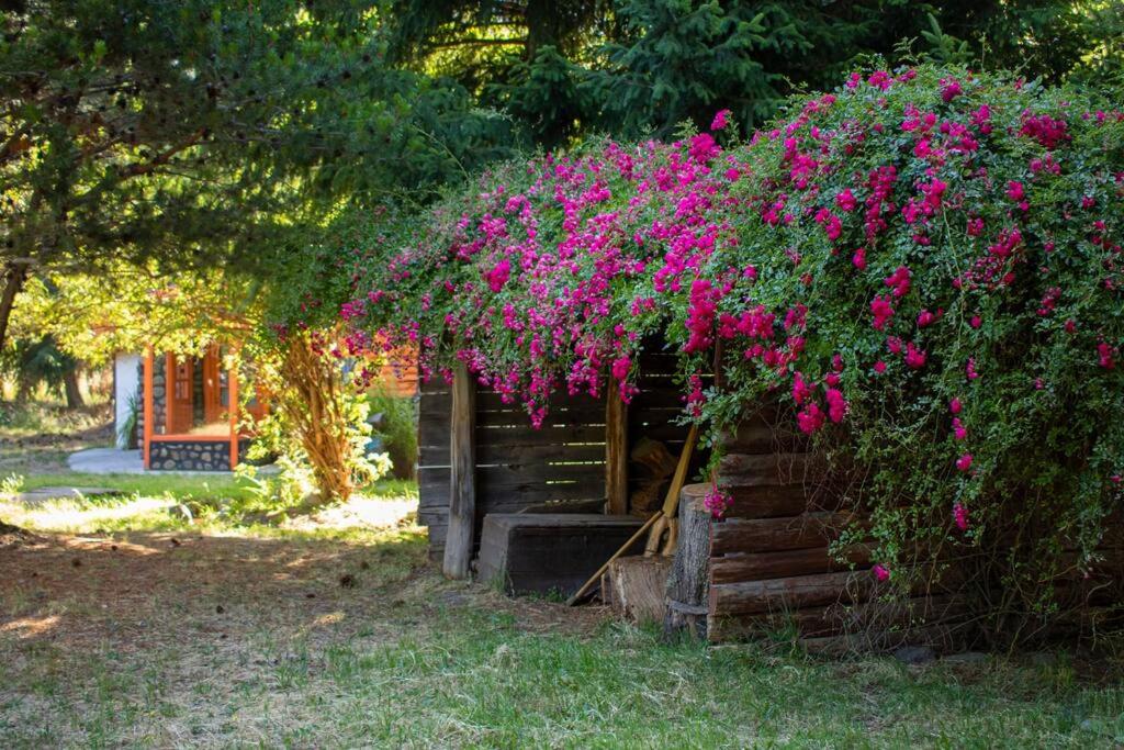 Petit Cottage