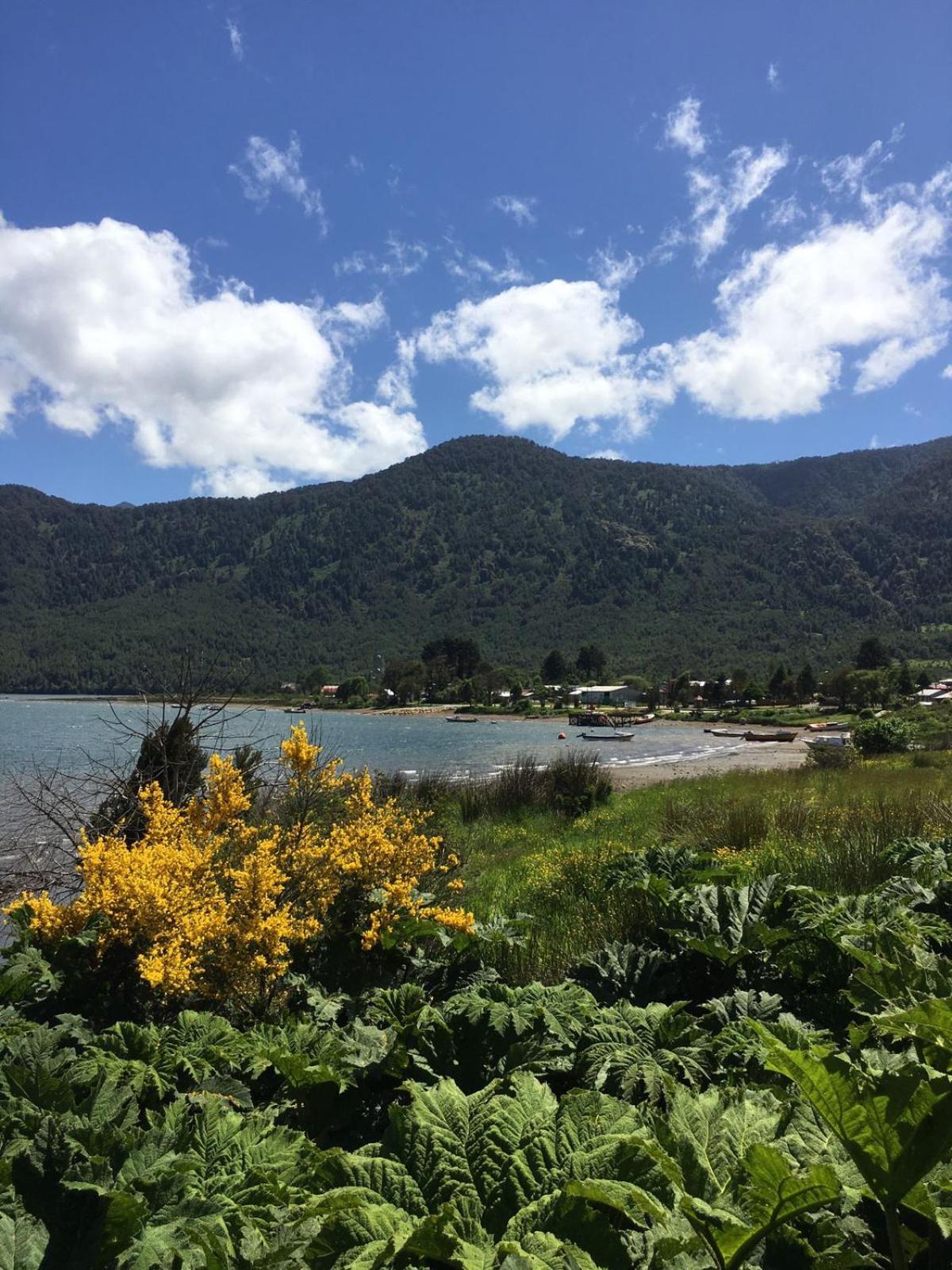 CABAÑAS RÜPÜ PUYUHUAPI
