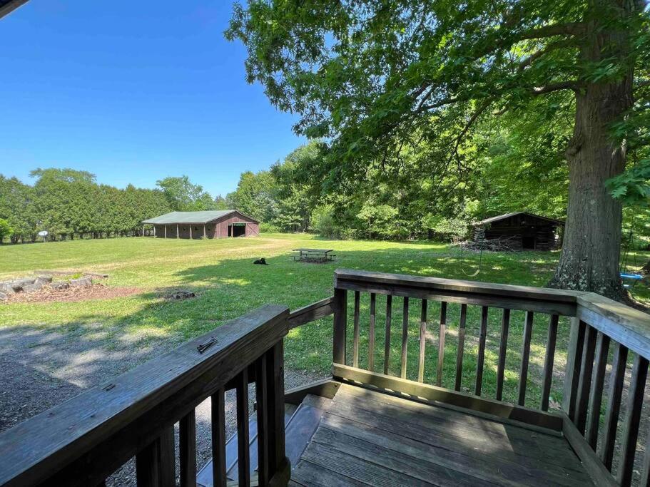 7 acres of nature and fun! view 4