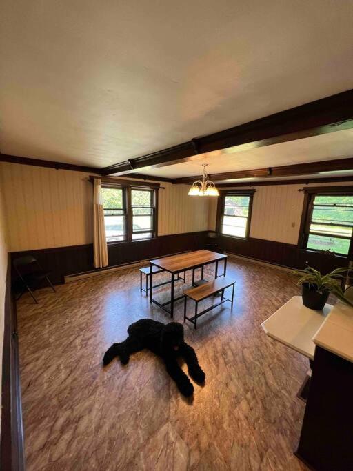 Photo 41