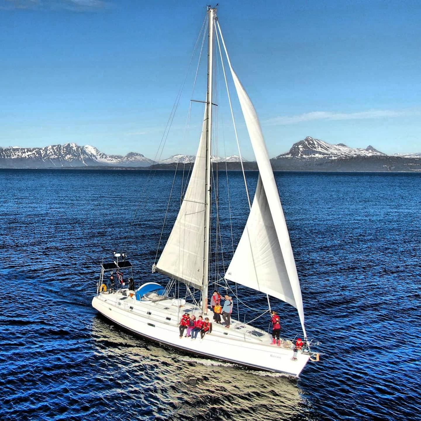Liveaboard sailing tour in Harstad islands view 4