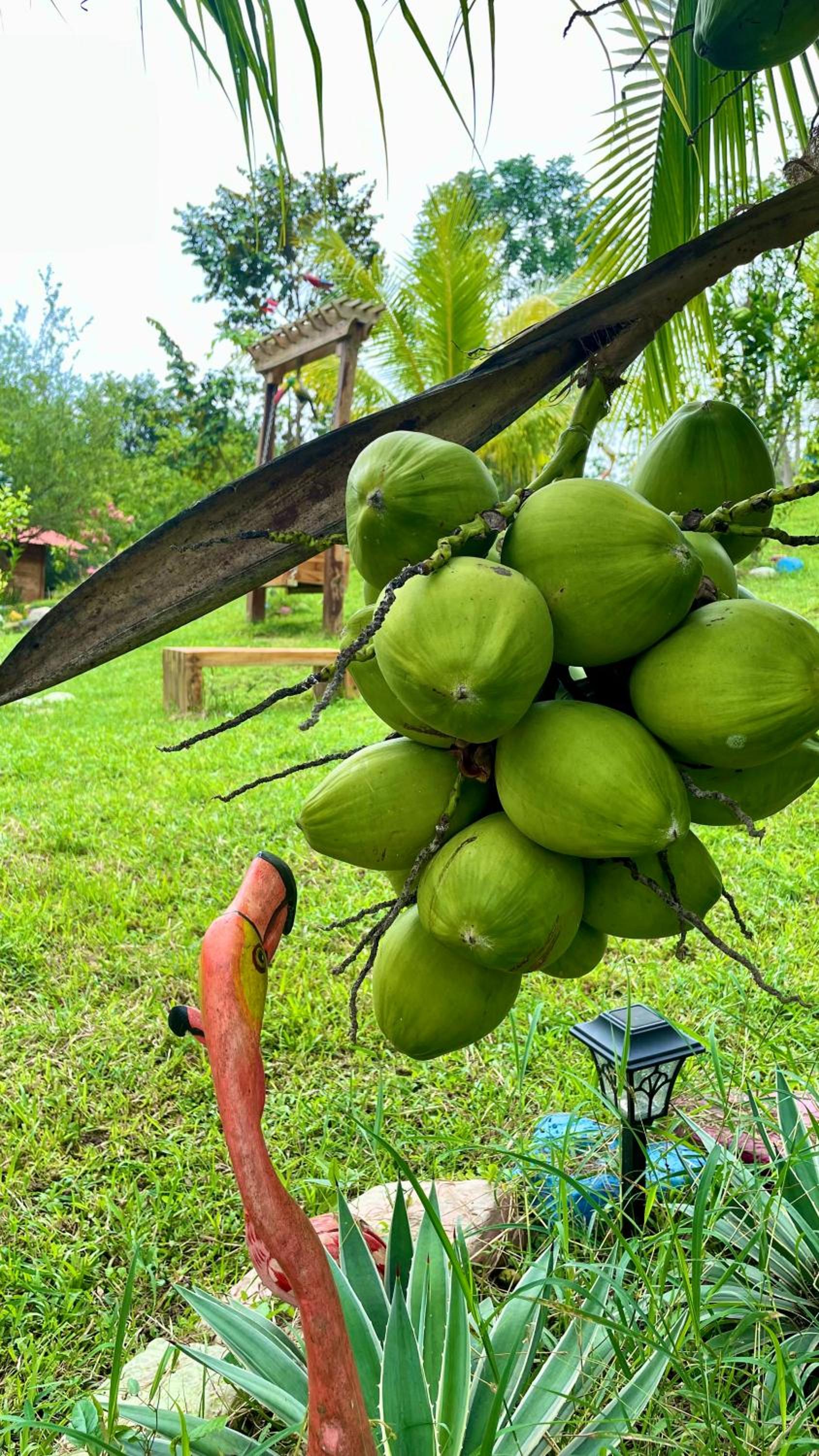 Finca Dos Apóstoles