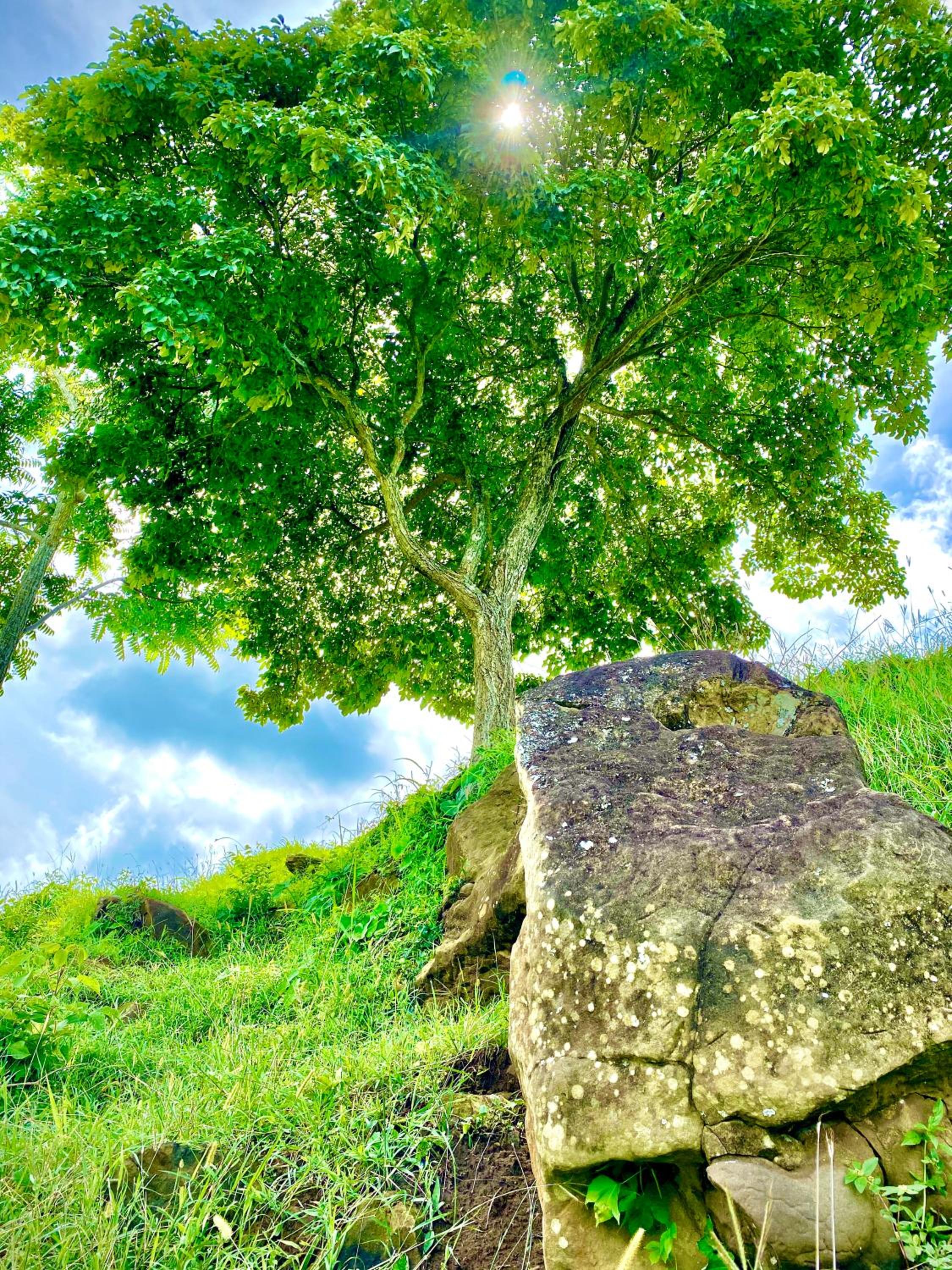 Finca Dos Apóstoles