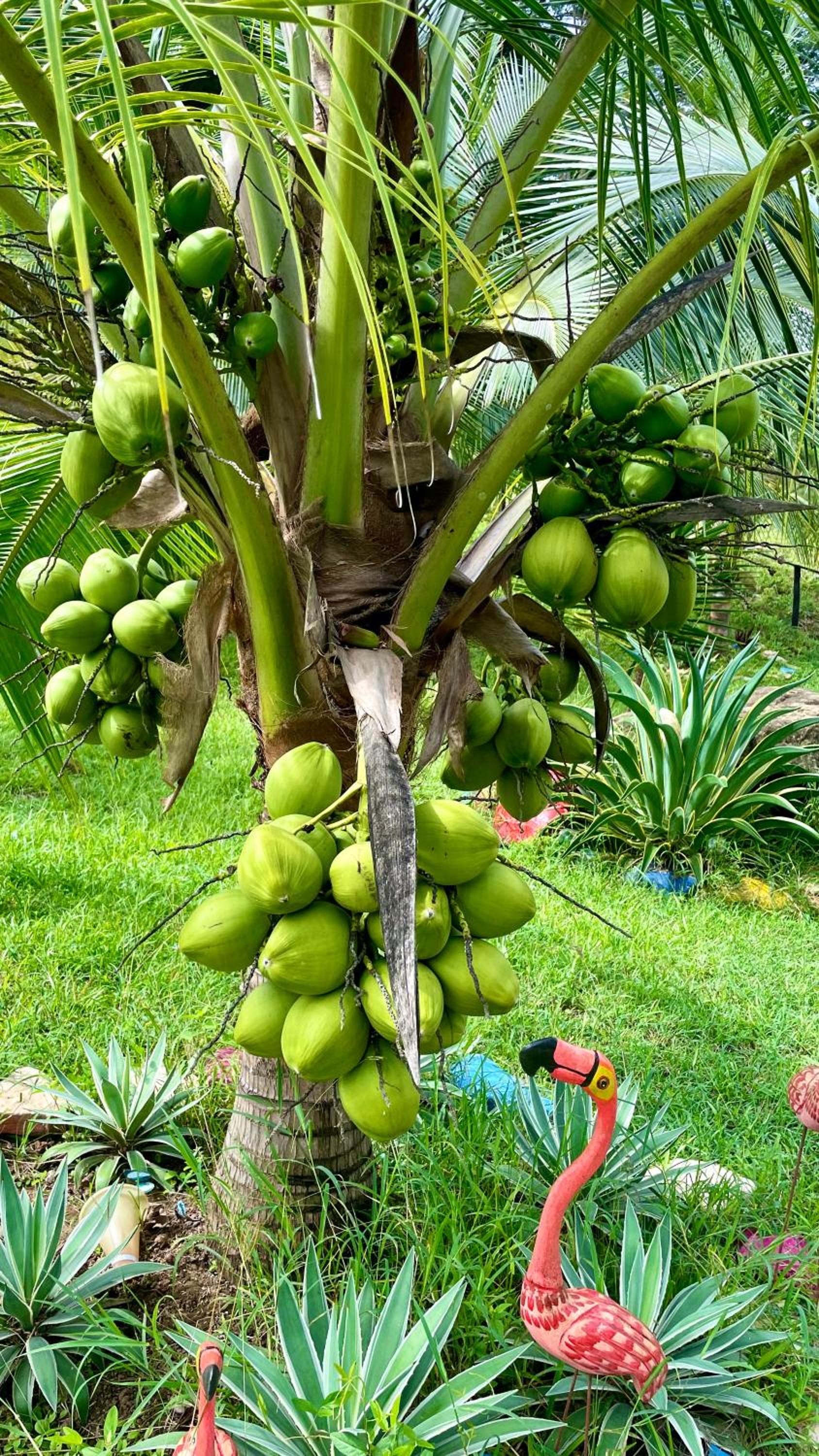 Finca Dos Apóstoles