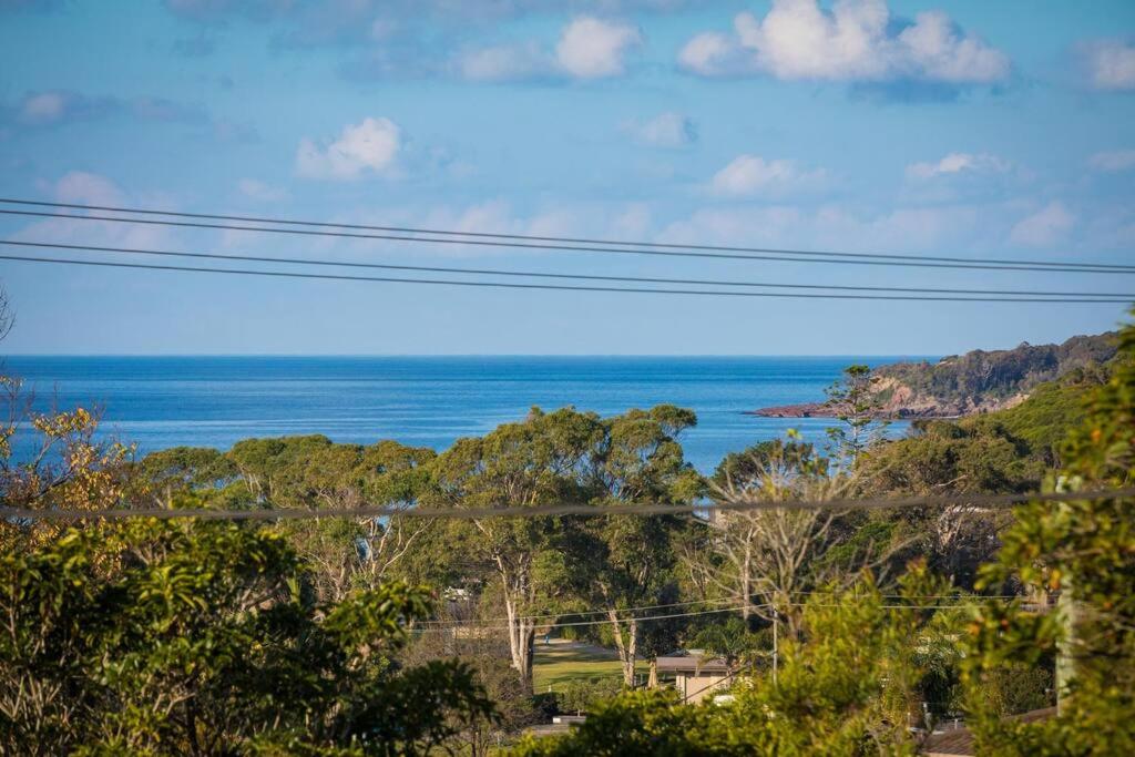 Beachwood - Pambula Beach