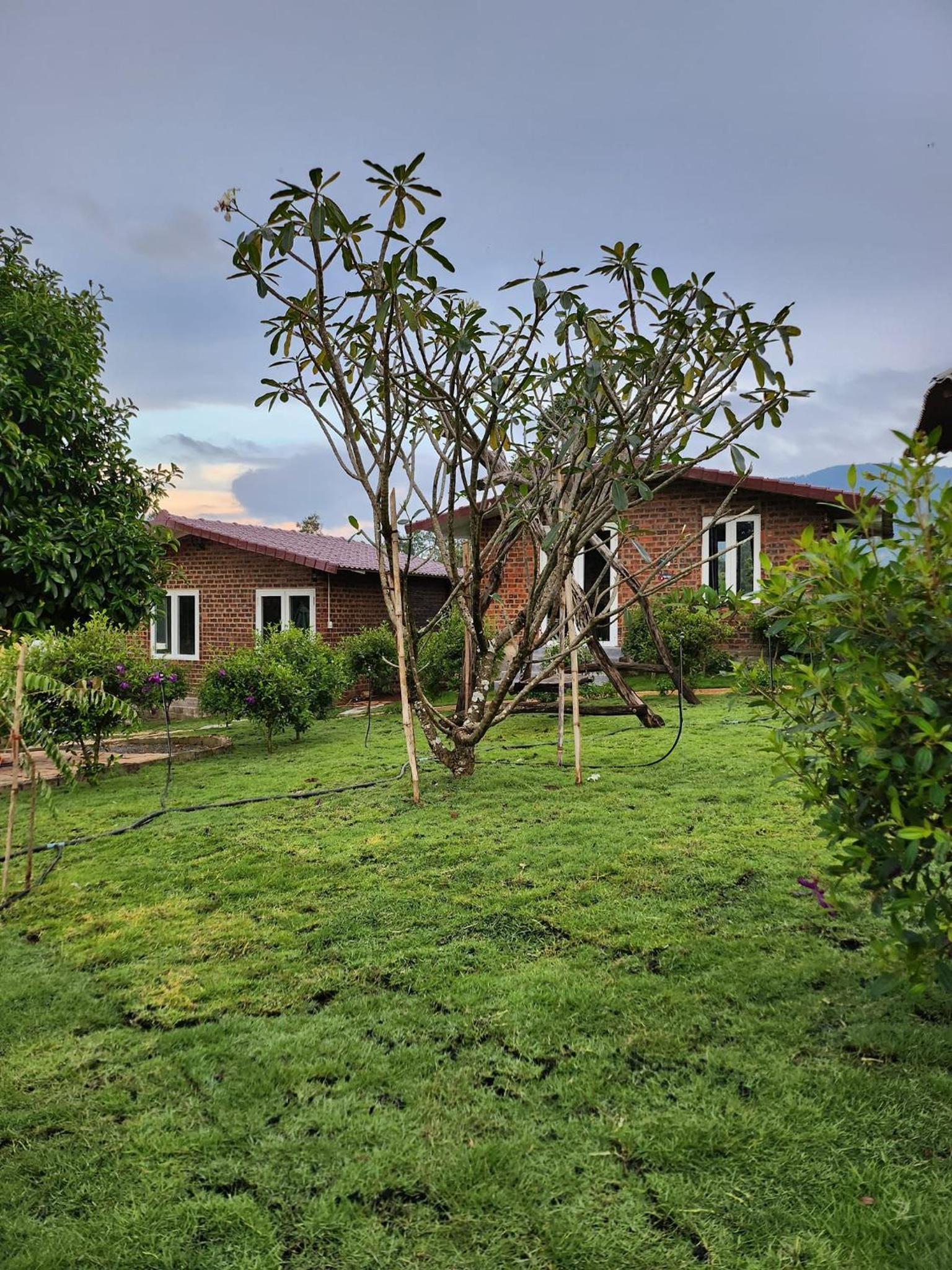 Photo 16