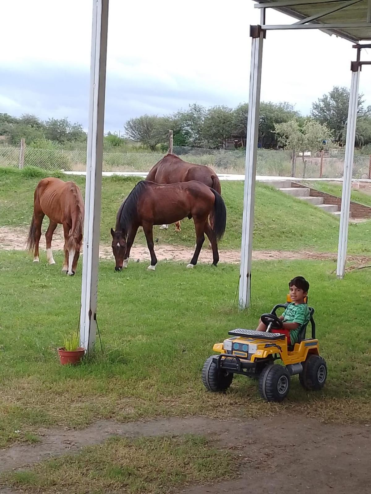 Casa Quincho Pileta Estadio Unico Froilan