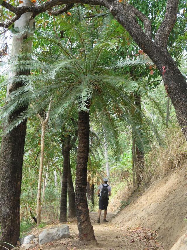 Trinity Beach Vacations - Bellbry Lodge - Property Image 6