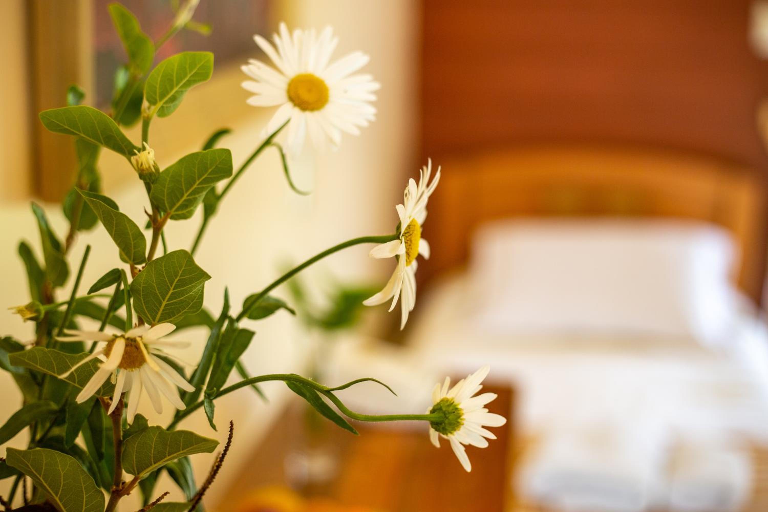Hostal Uruhao