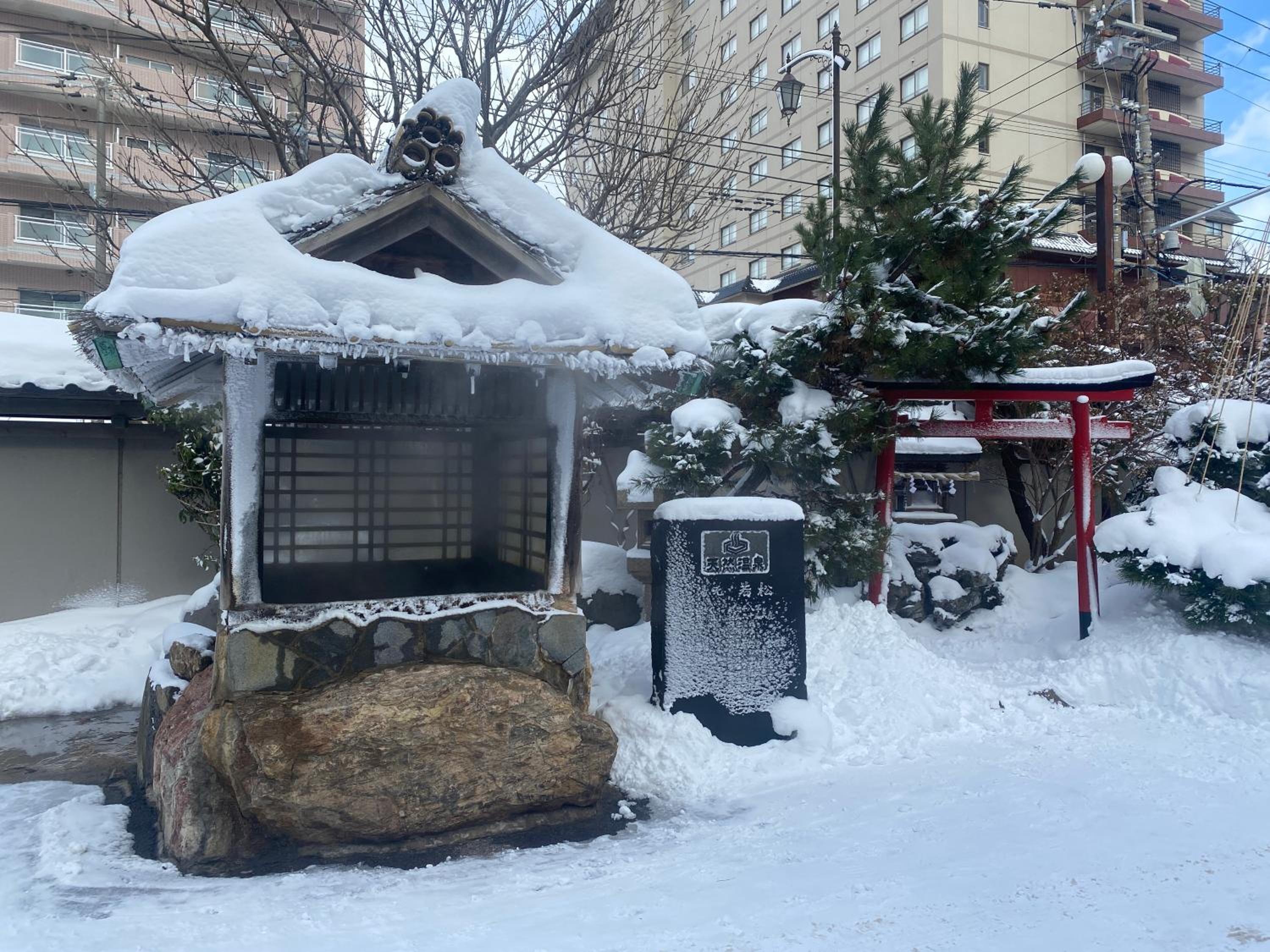 Wakamatsu Hot Spring Resort