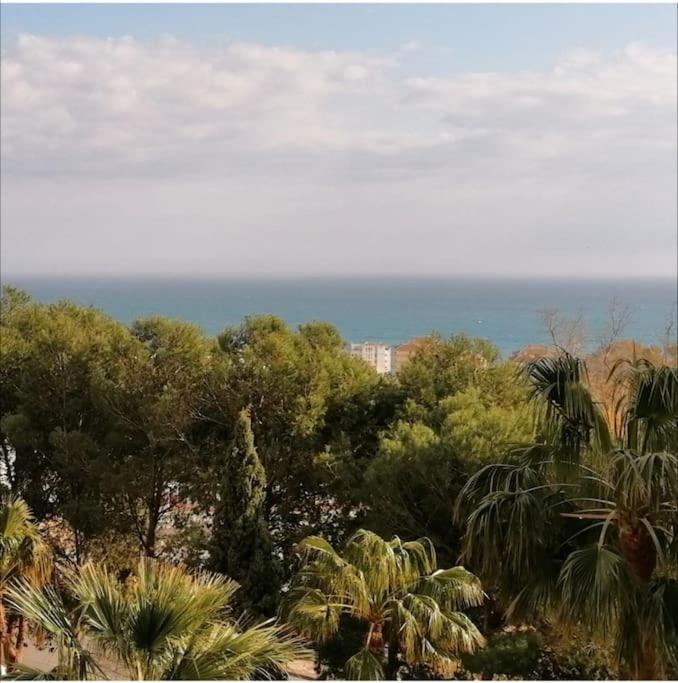 Coqueto estudio con vistas a 800 de la playa view 2