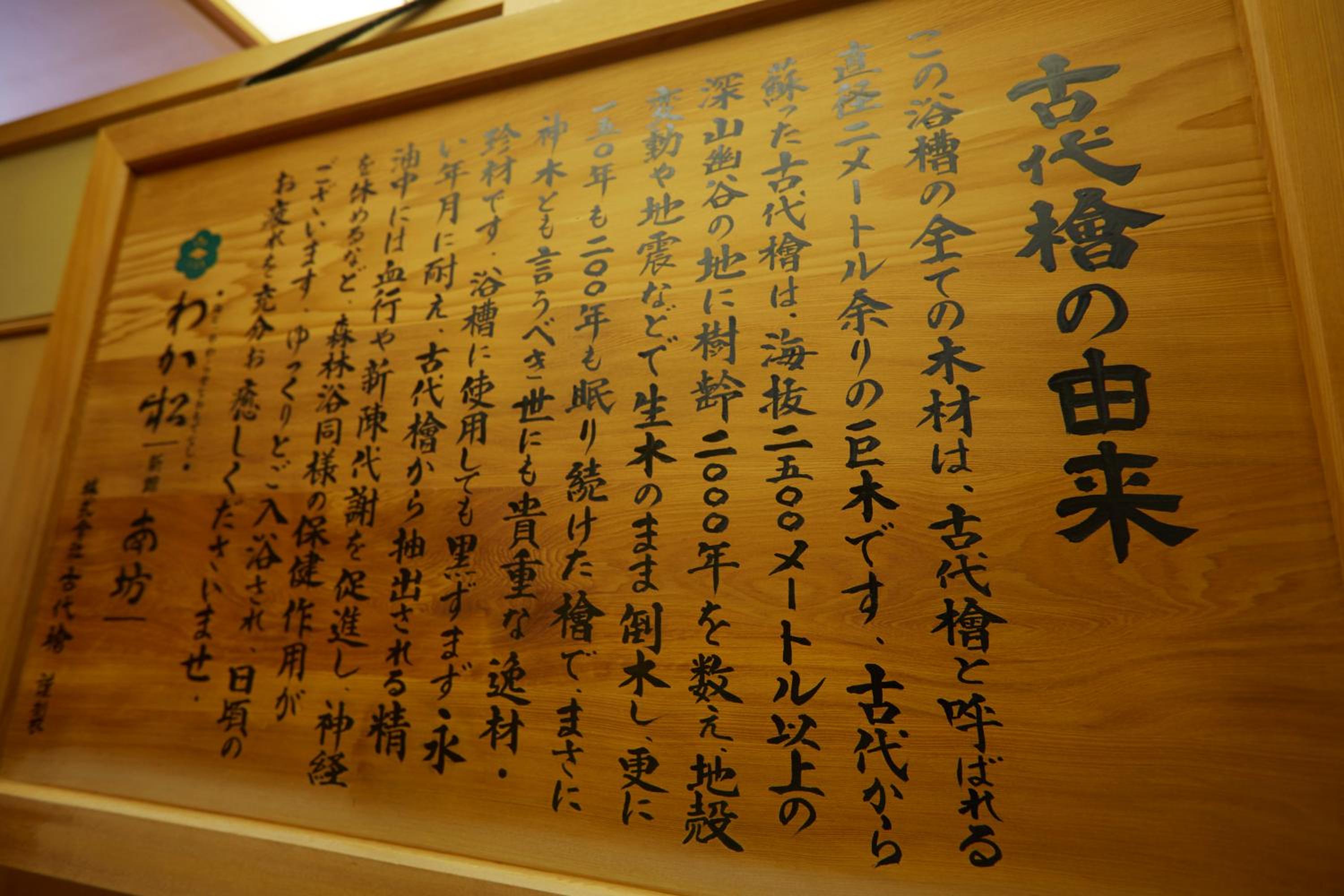 Wakamatsu Hot Spring Resort