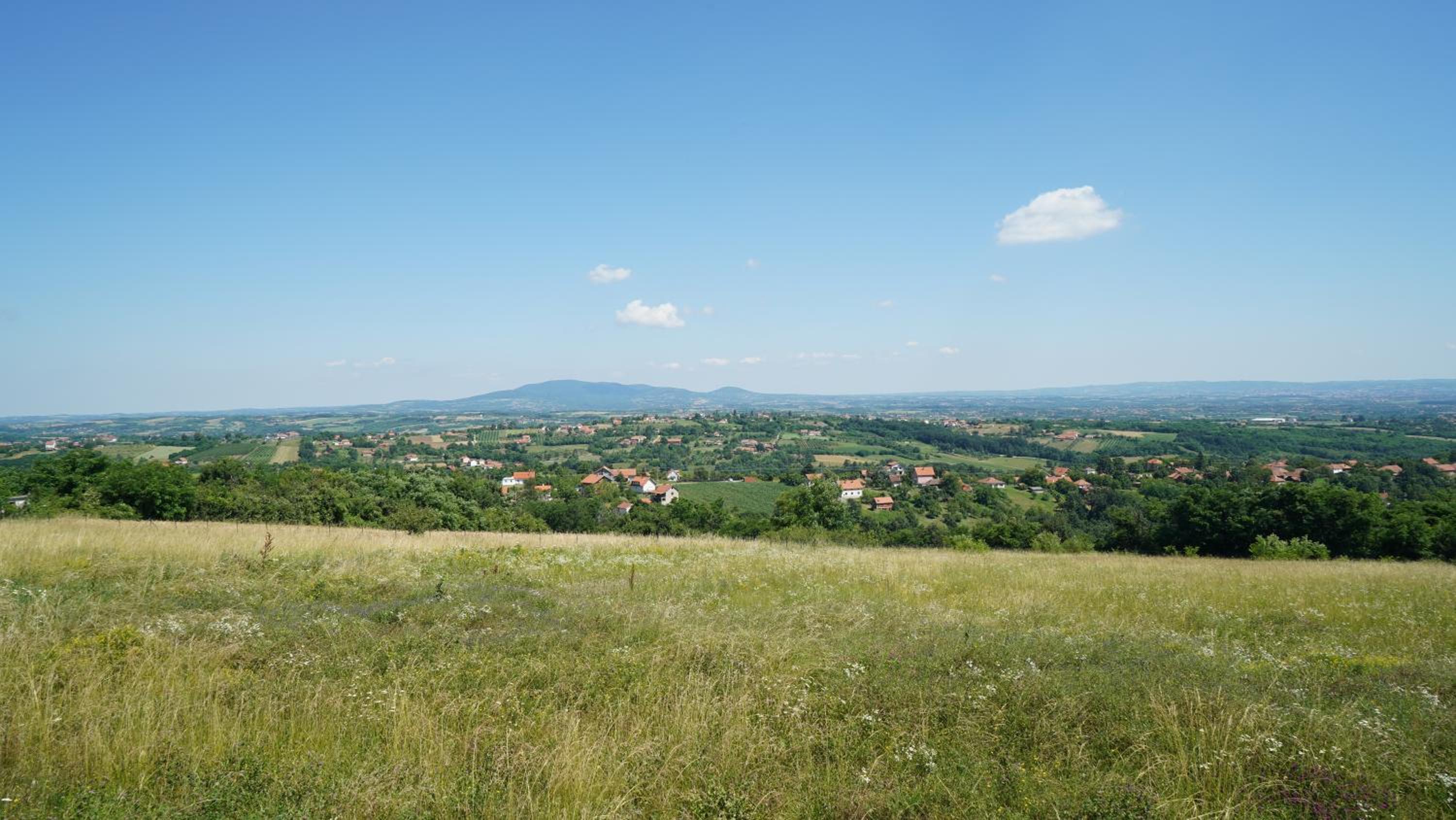 Vila Vesna