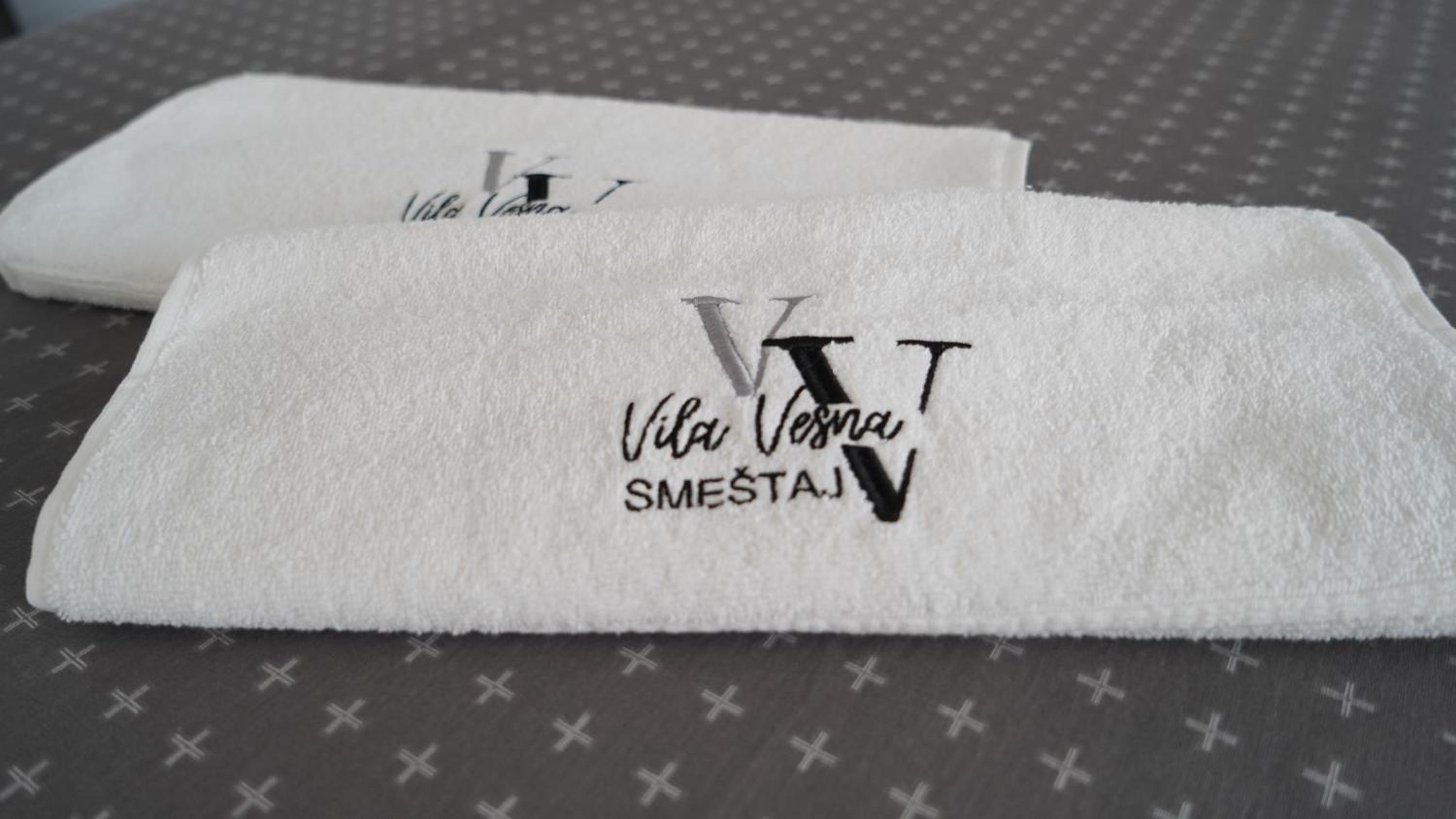 Vila Vesna