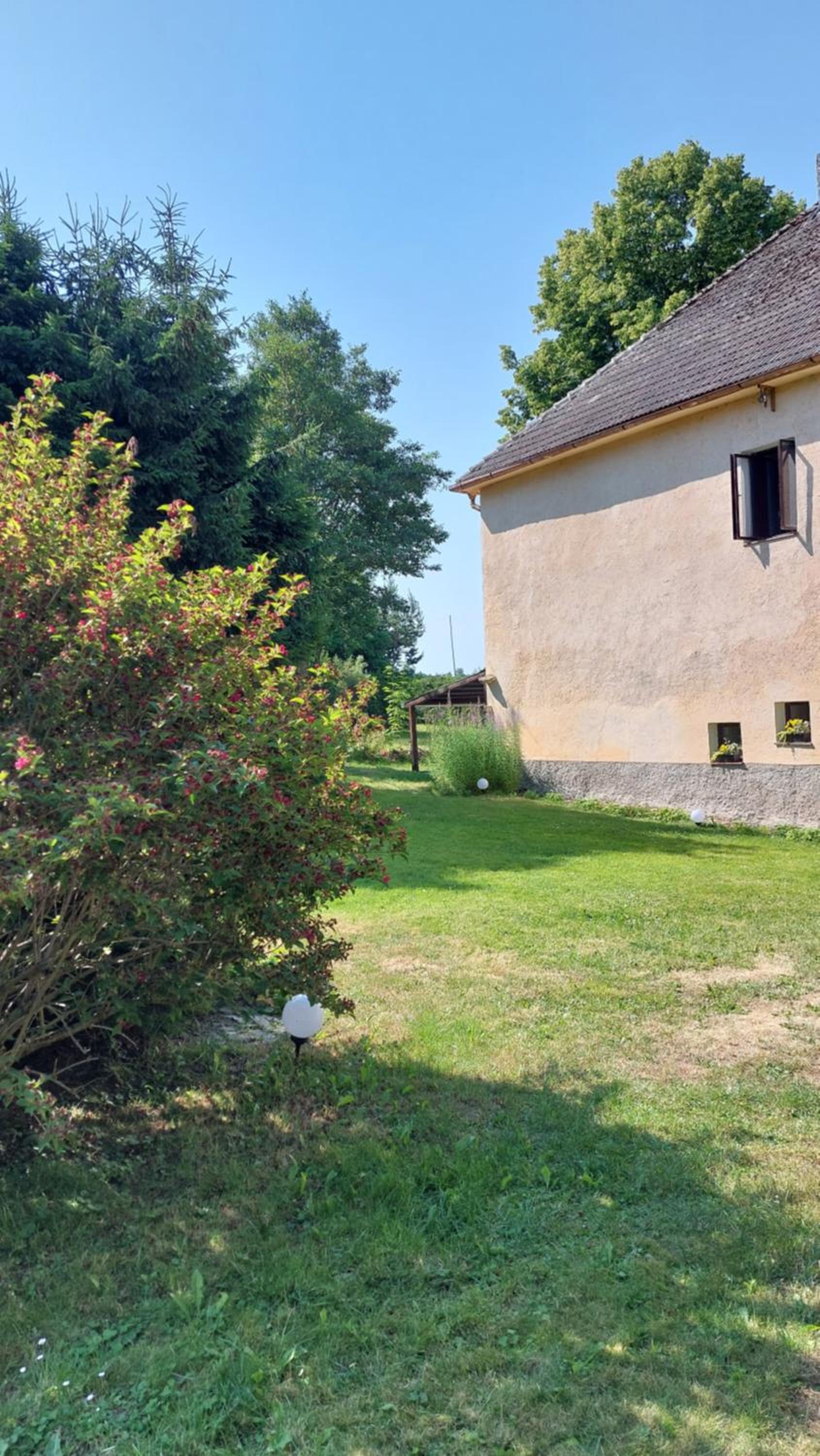 Photo 43