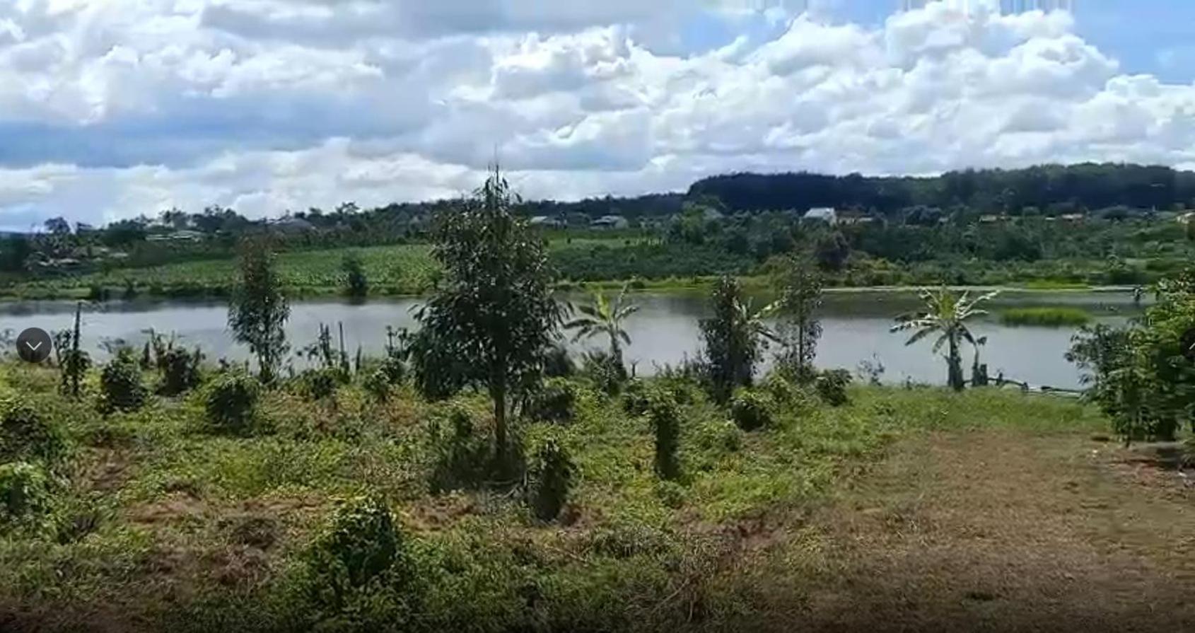 Bảo Châu Farm