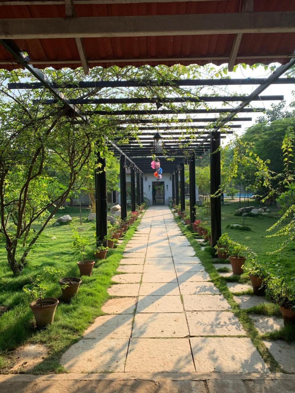Tuli Veer Bagh Resort