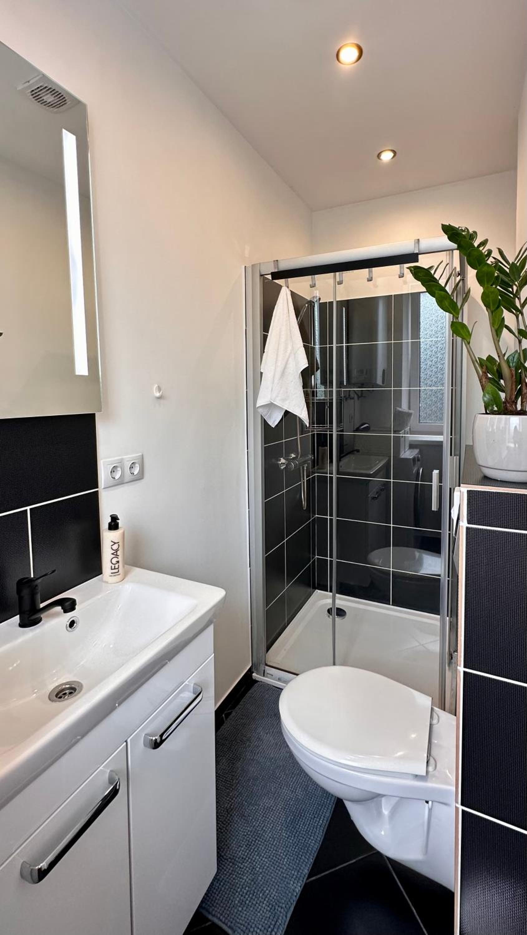 LILLE`S apartment in city center