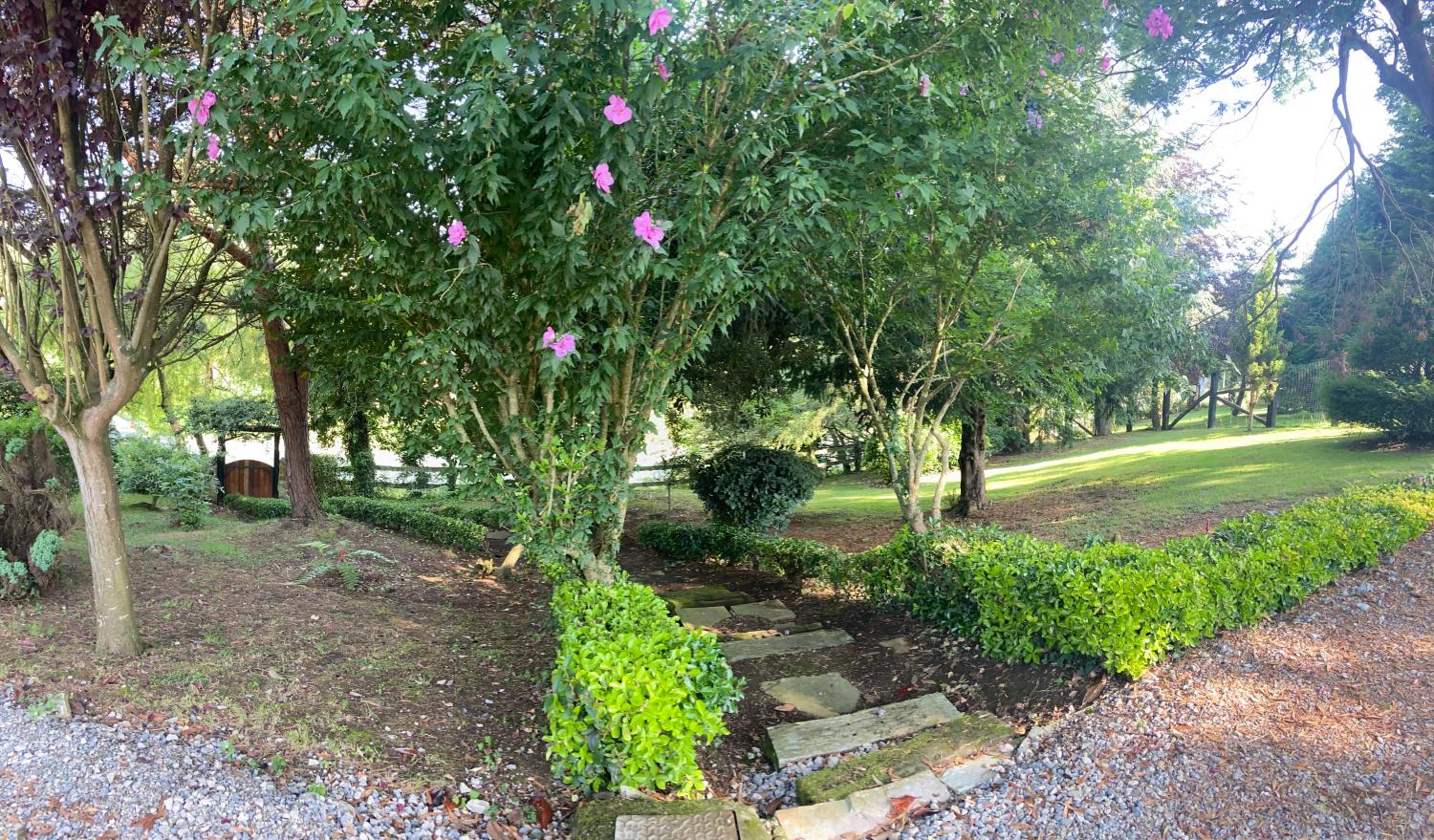 Apartamentos Garden Rock