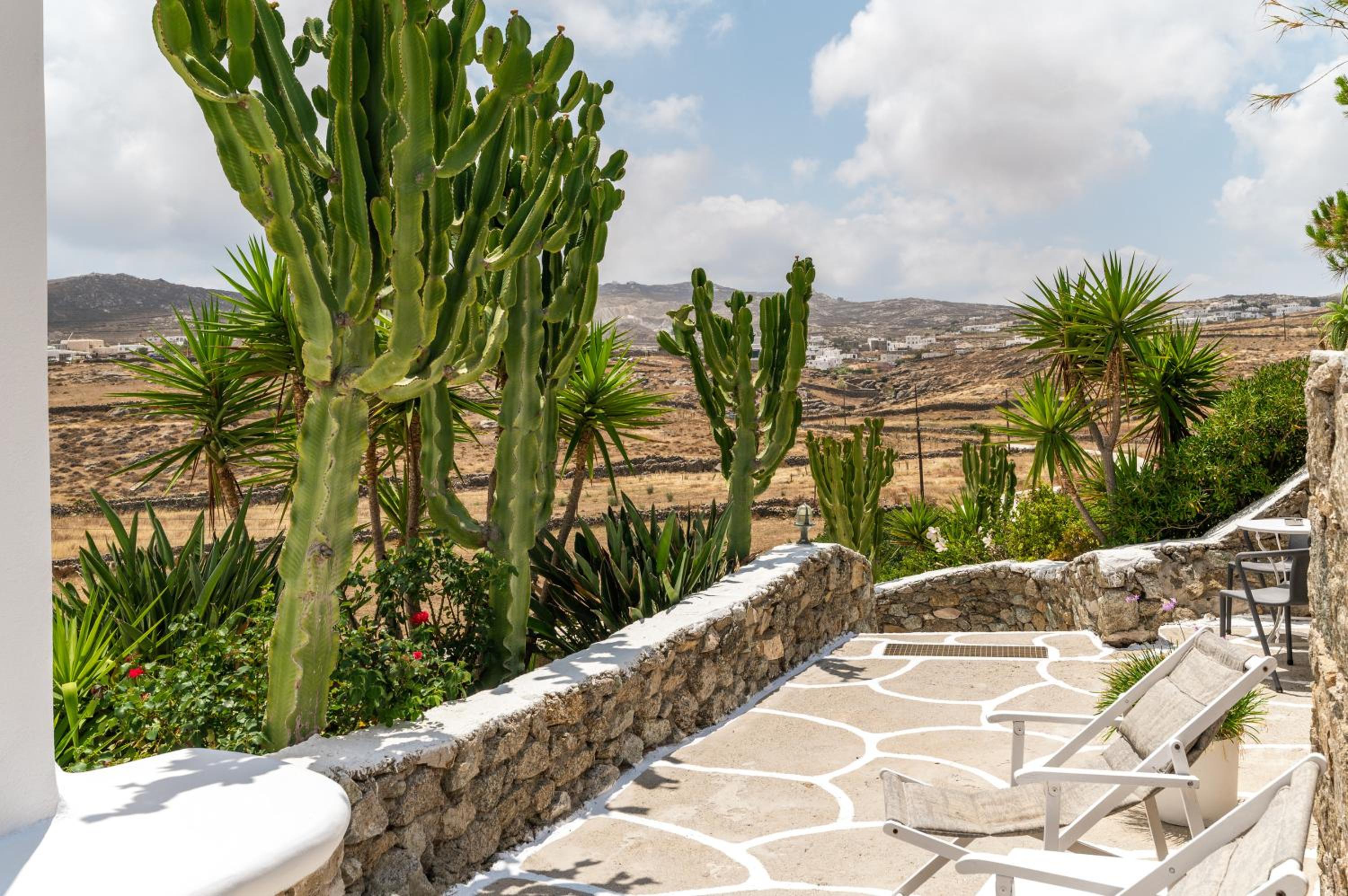 Afroditi Ftelia Anemone photo 2