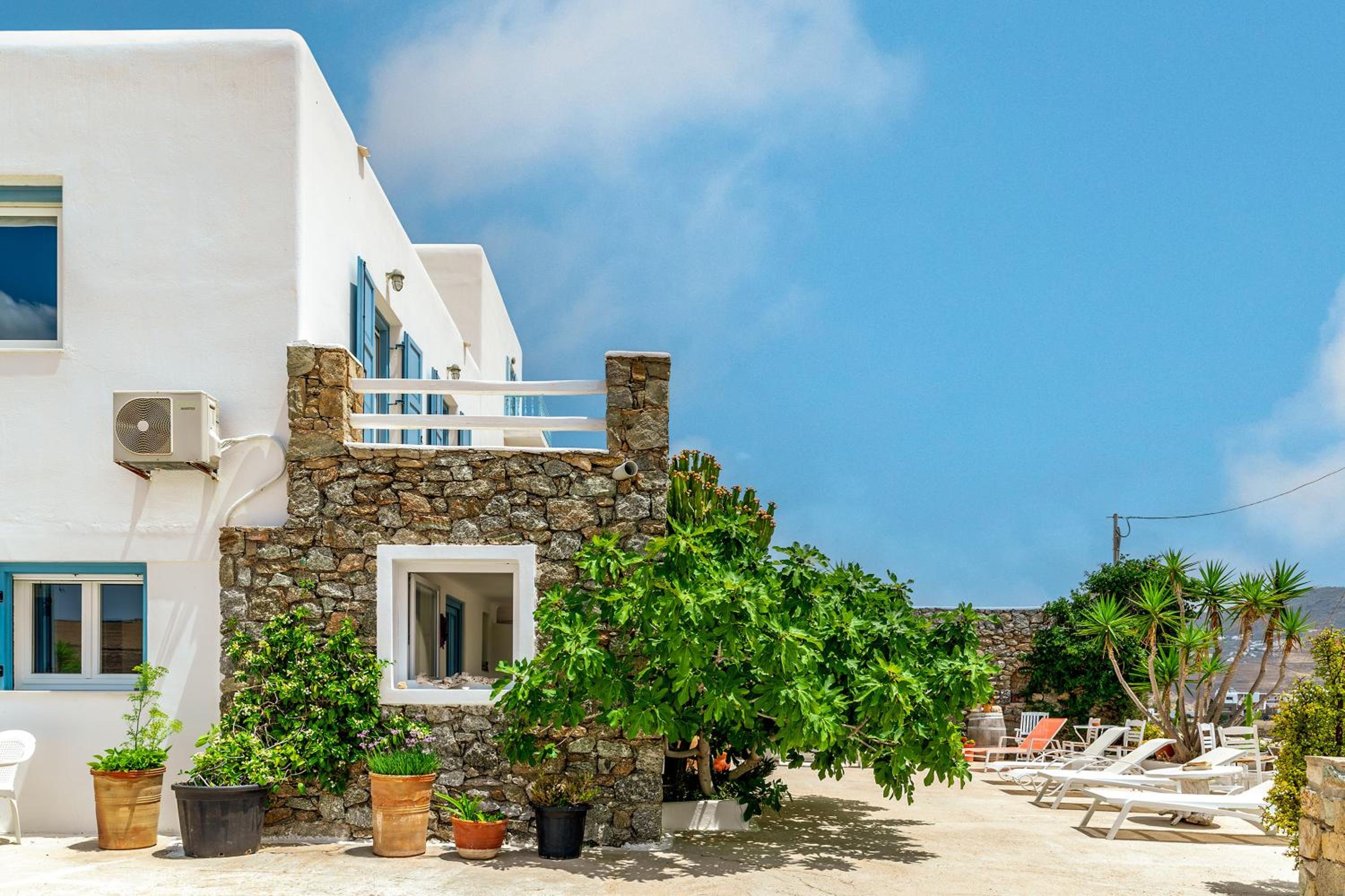 Afroditi Ftelia Yasemi b