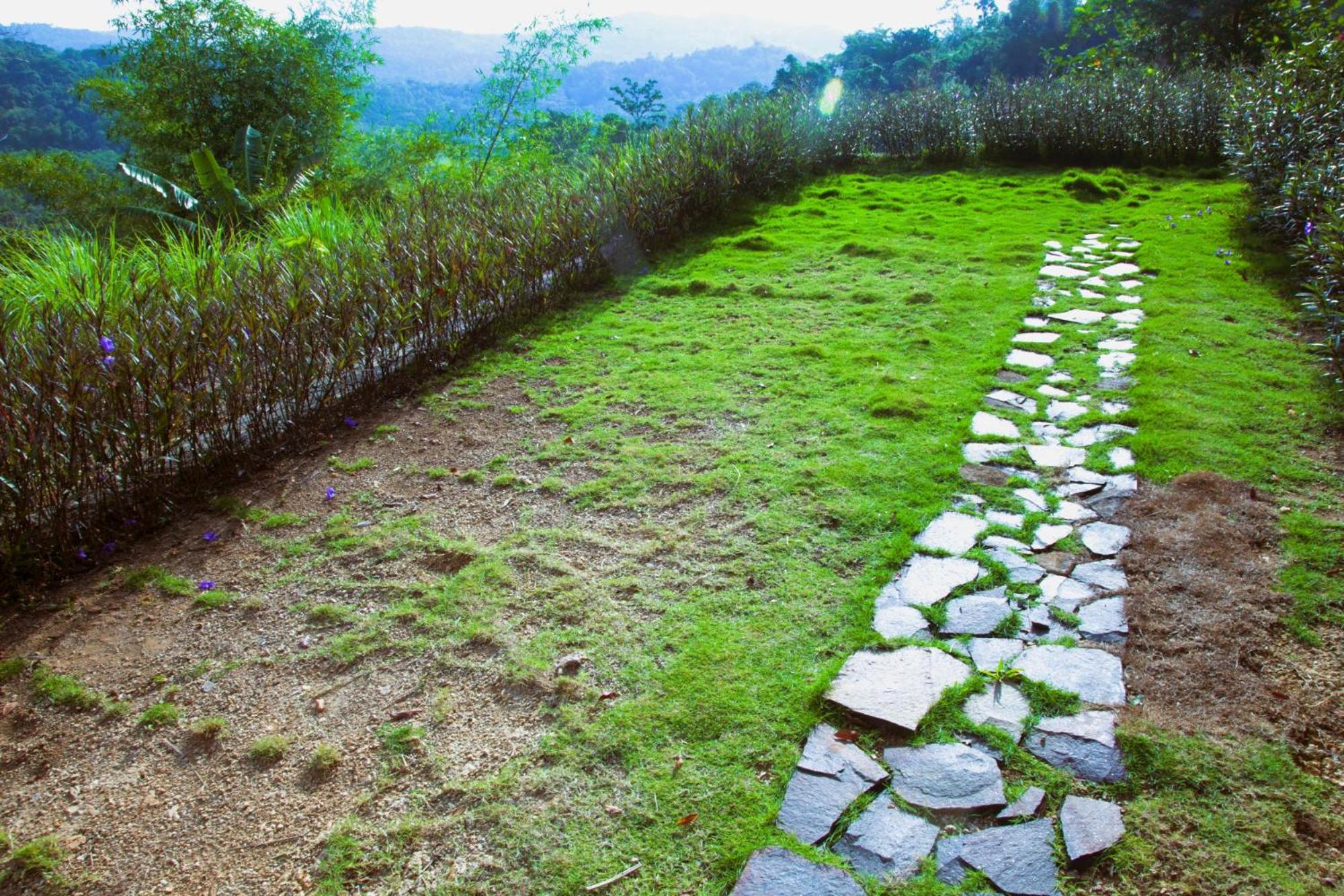 Villa Bukit Cottage, Private Pool and Peaceful Nature Retreat