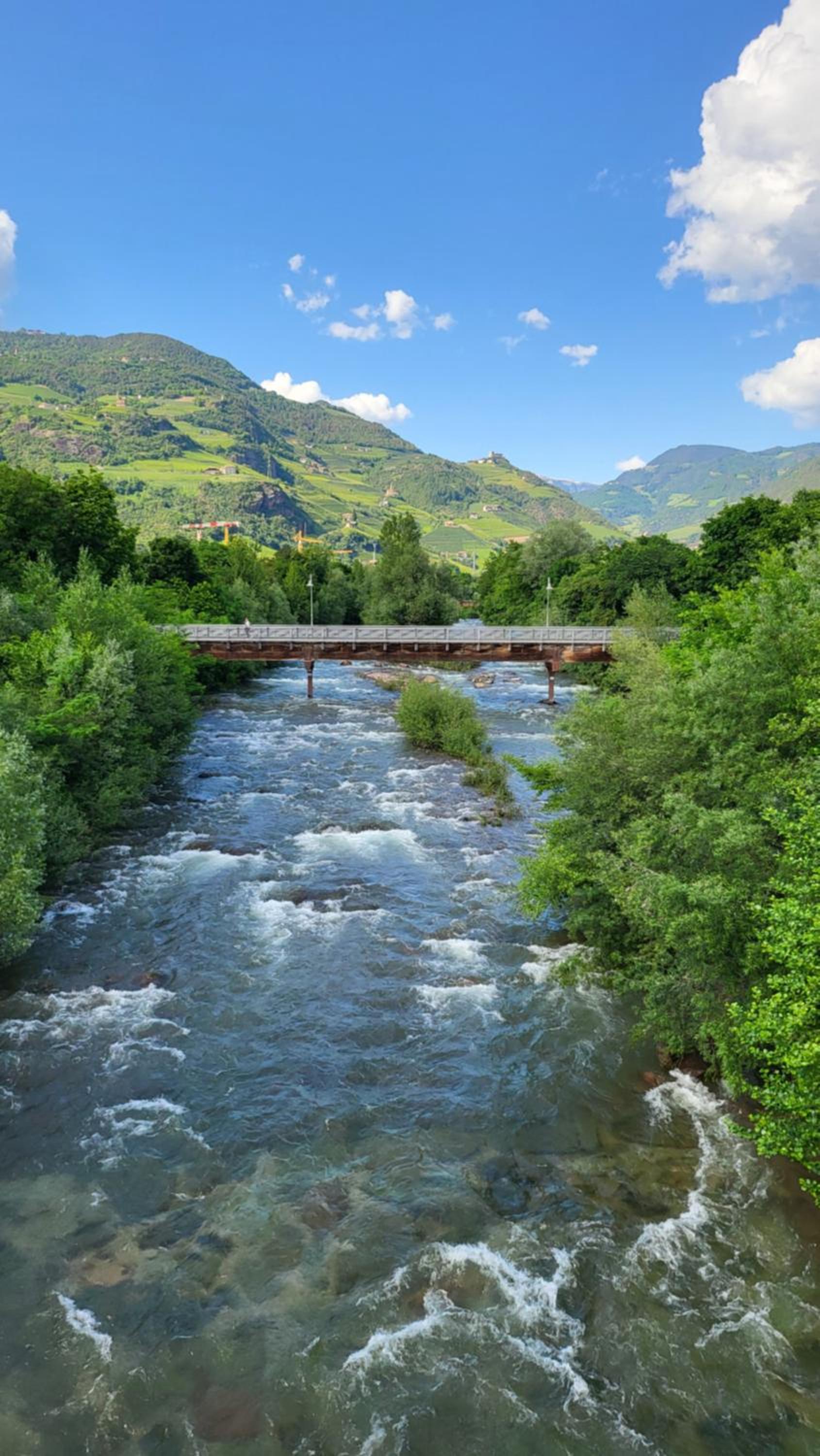 Bolzano 2-Room Central Mountain View, WiFi Netflix AC Lift view 4