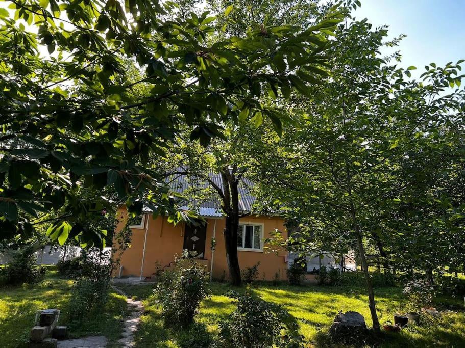 Mountain Views Quiet Garden Home
