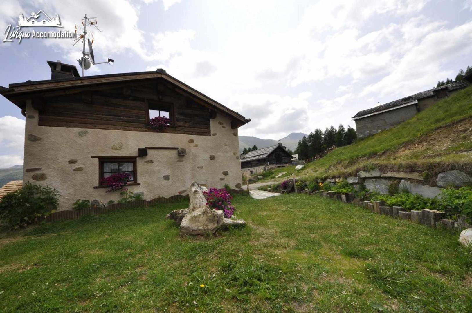 Photo 35