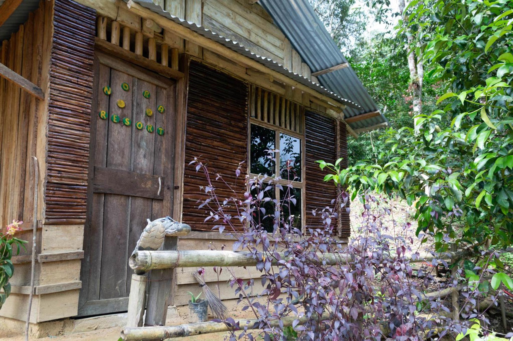 Photo 9
