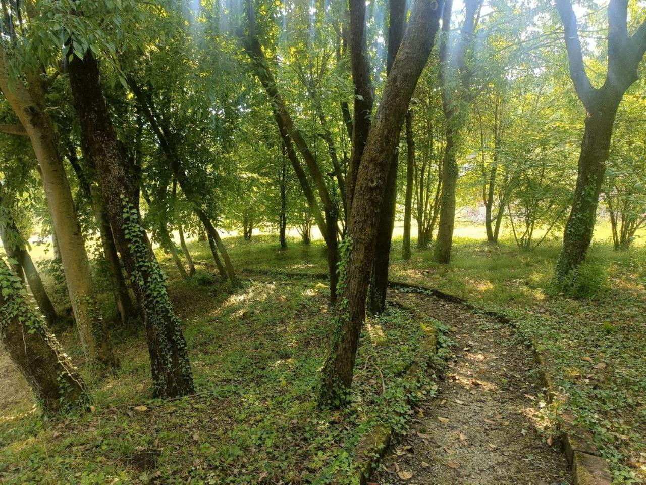 Photo 32