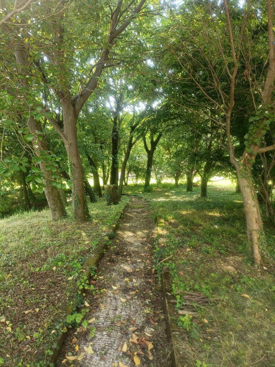 Photo 34