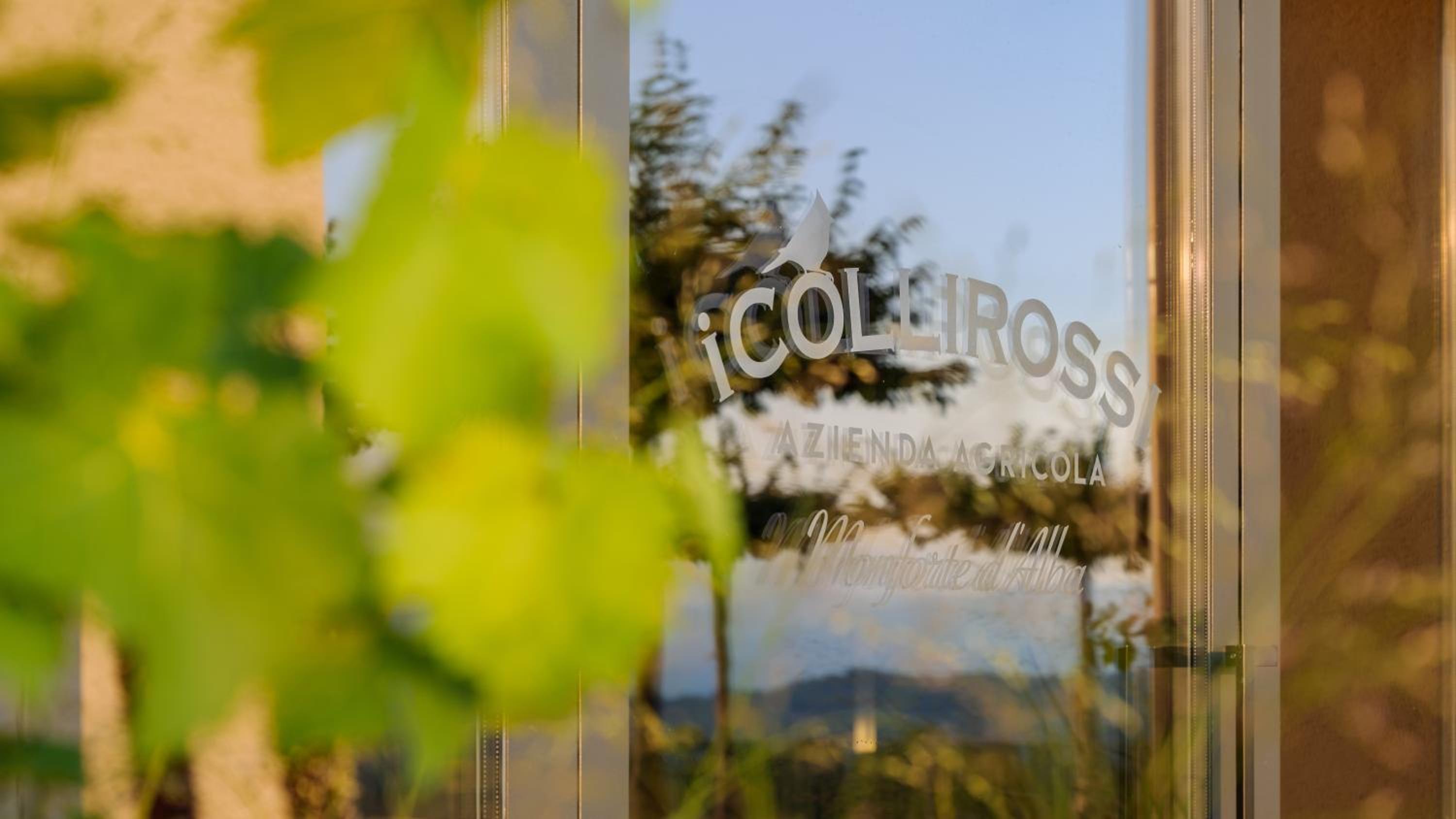 iCOLLIROSSI Agriturismo