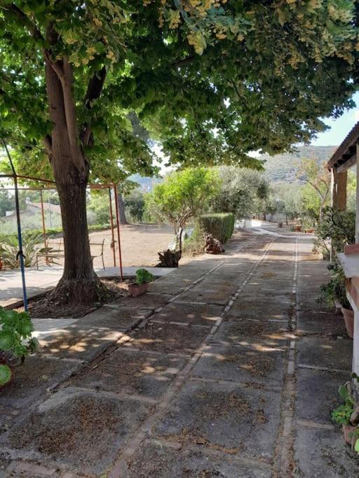 Casa vacanze Villa MiLù view 3