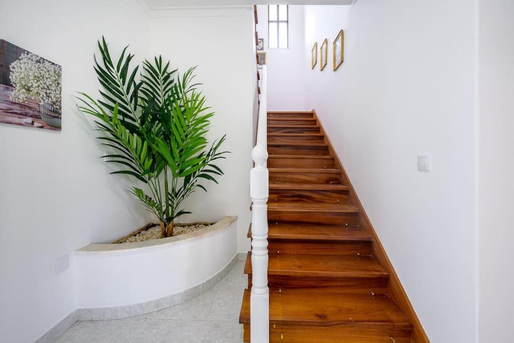 CASA AMARELA