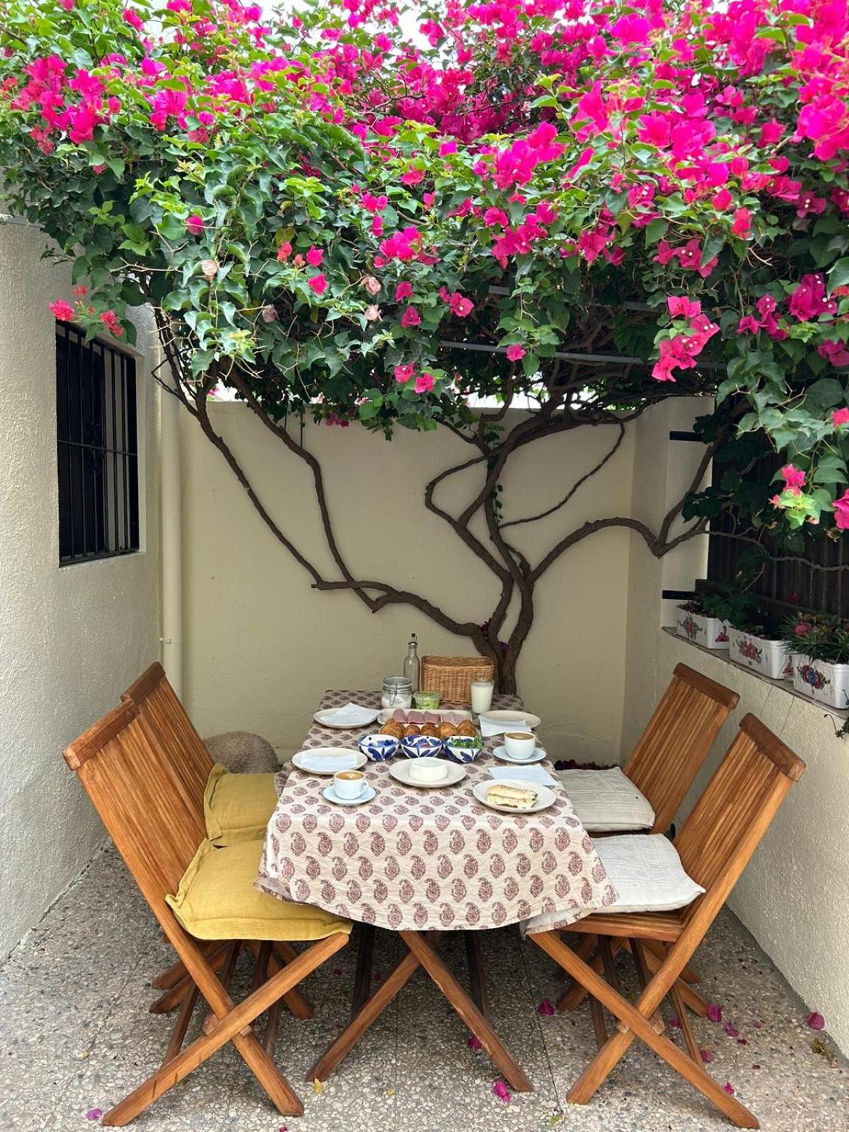 Casa Buganvilla con piscina en San José Sotillo